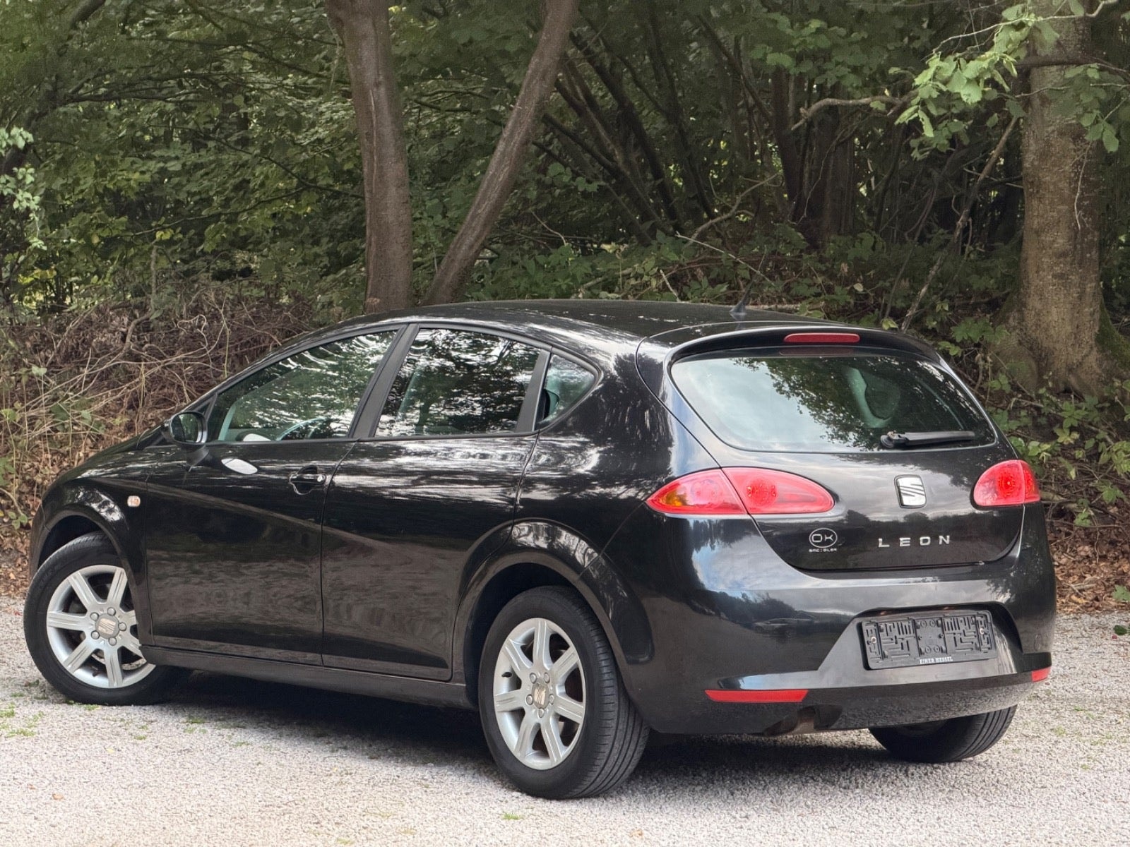 SEAT León 1.9 TDI Automatic, 105hp, 2008