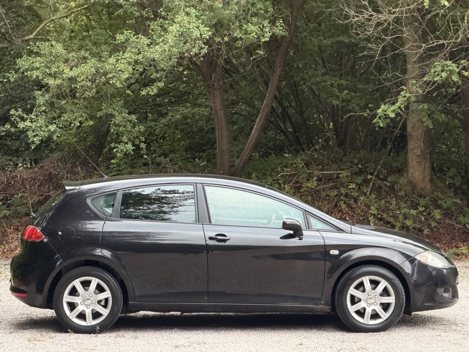 SEAT León 1.9 TDI Automatic, 105hp, 2008
