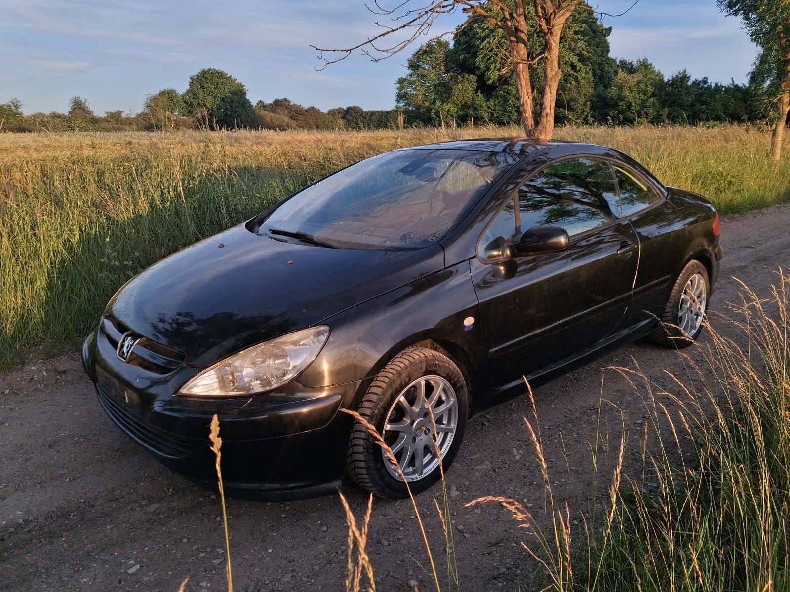 Peugeot 307 CC 2.0 Manual, 5-trins, 136ps, 2005