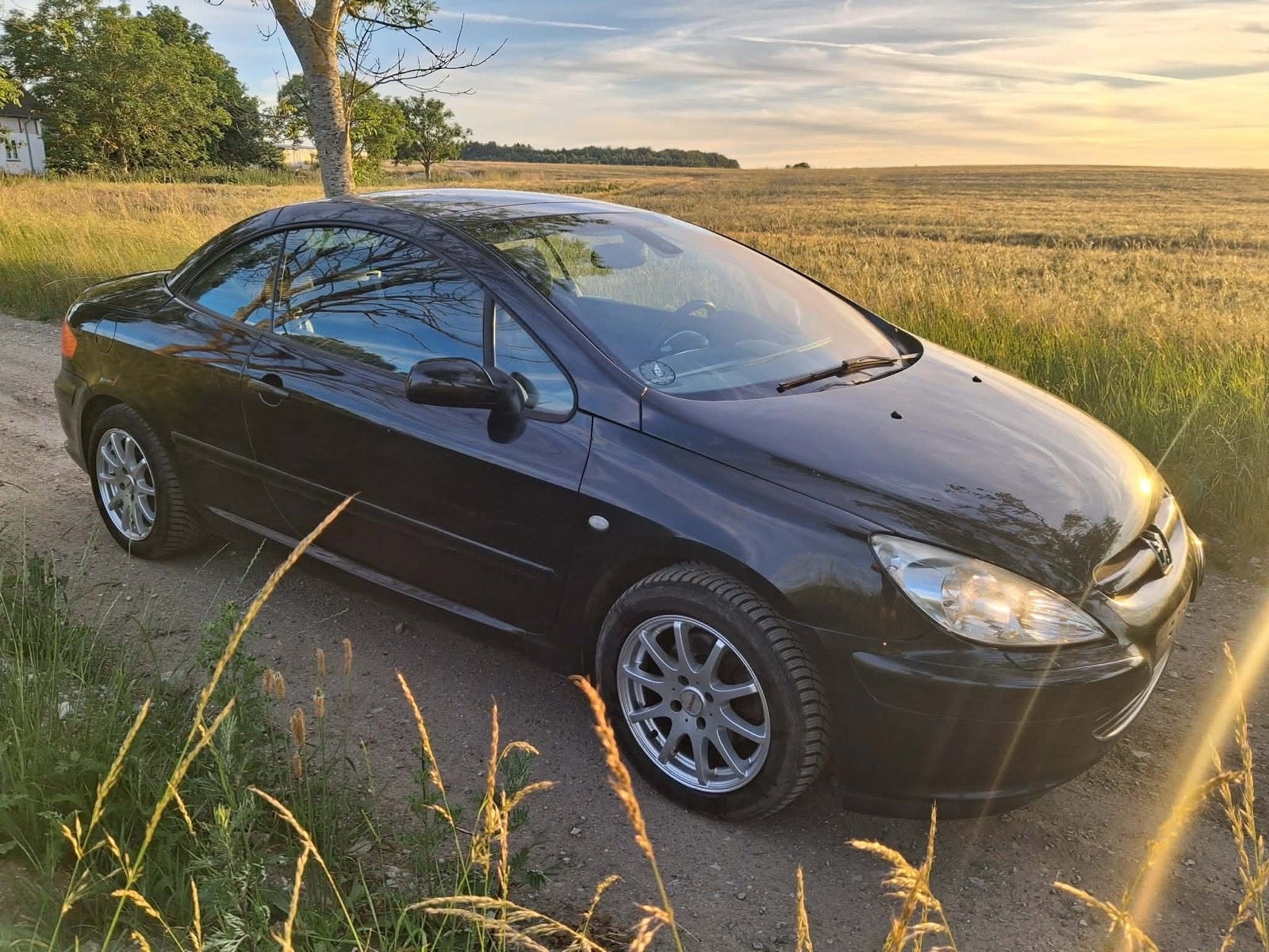 Peugeot 307 CC 2.0 Manual, 5-trins, 136ps, 2005