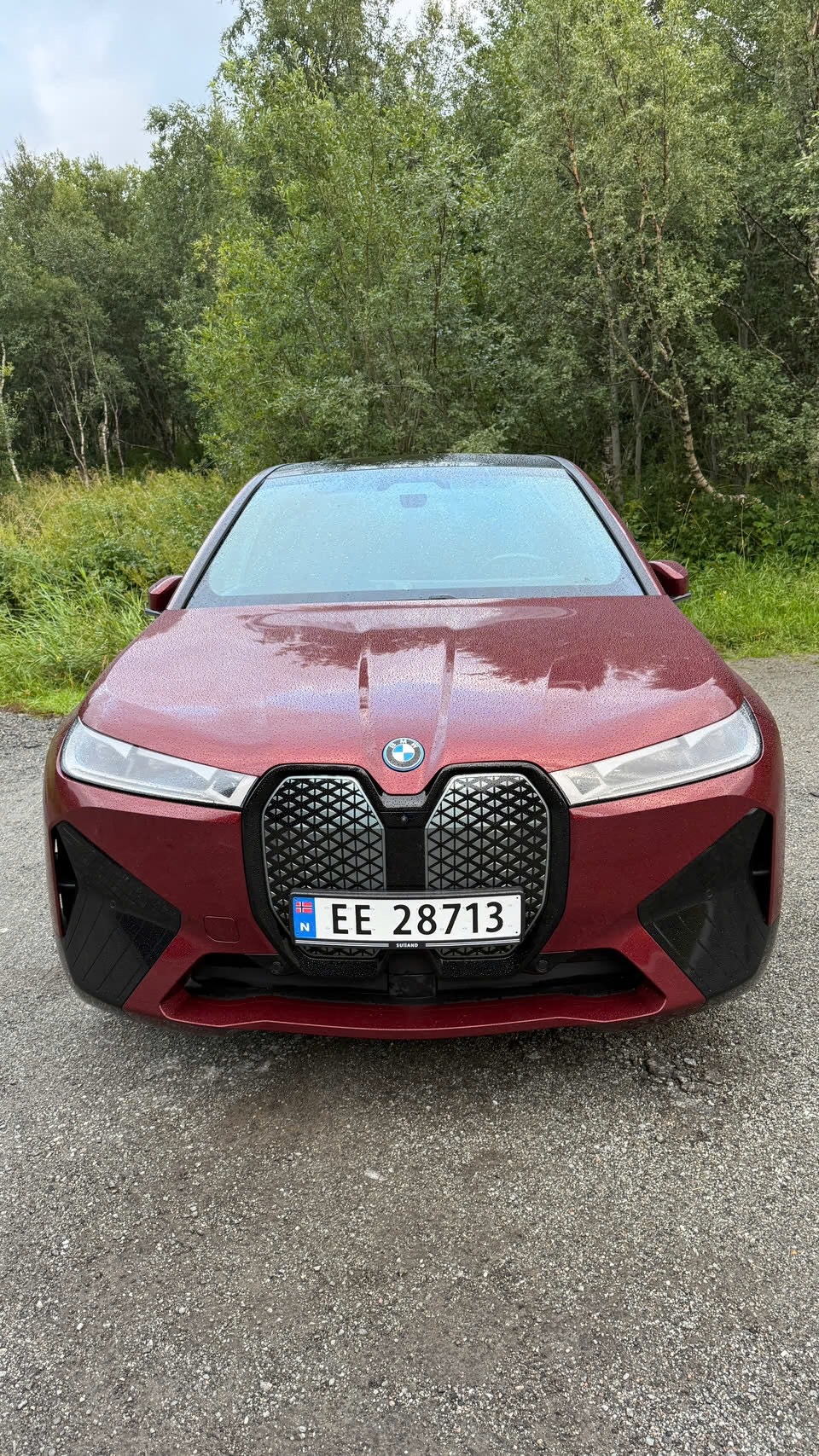BMW iX xDrive40, 326hp, 2022