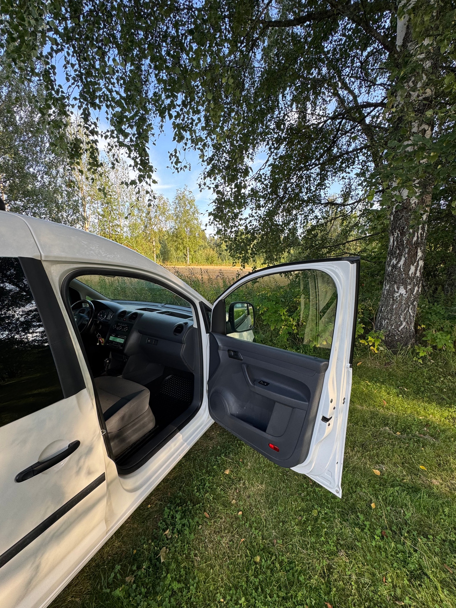 Volkswagen Caddy Panel Van 1.6 TDI DPF DSG Sequential, 102hp, 2014