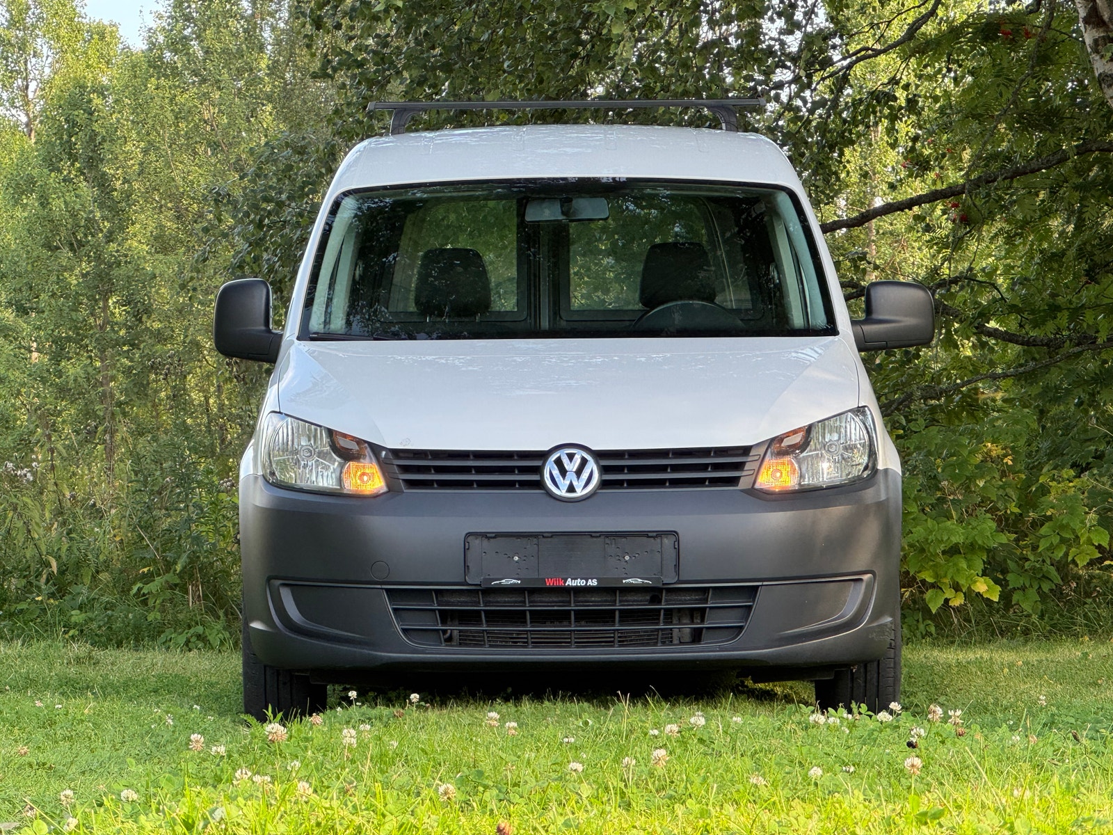 Volkswagen Caddy Panel Van 1.6 TDI DPF DSG Sequential, 102hp, 2014