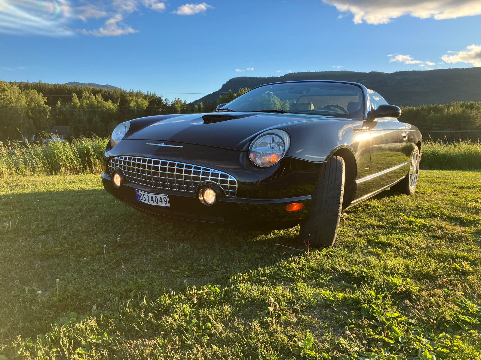 Ford Thunderbird 3.9 V8 Automatic, 5-trins, 256ps, 2002