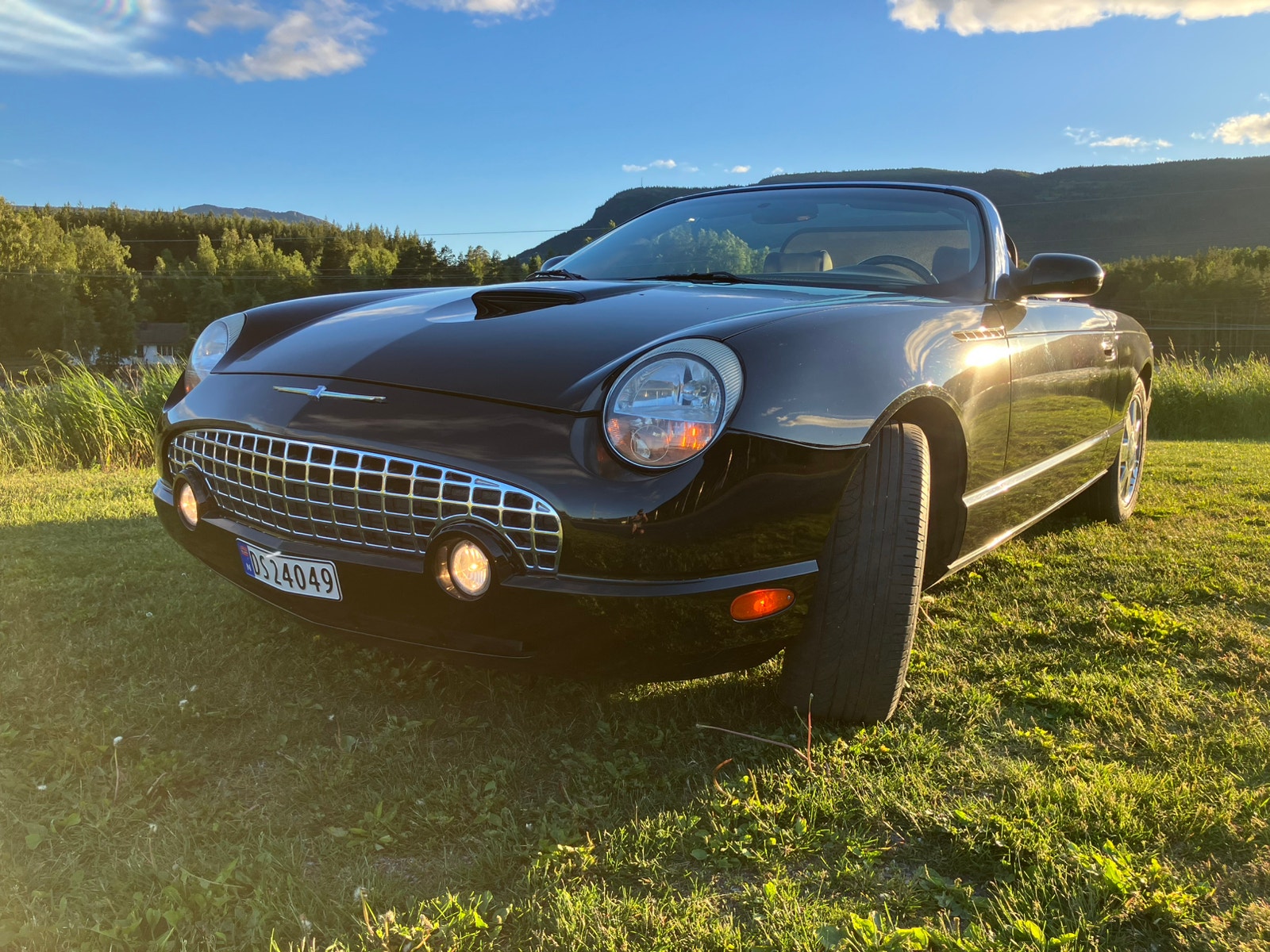 Ford Thunderbird 3.9 V8 Automatic, 5-trins, 256ps, 2002