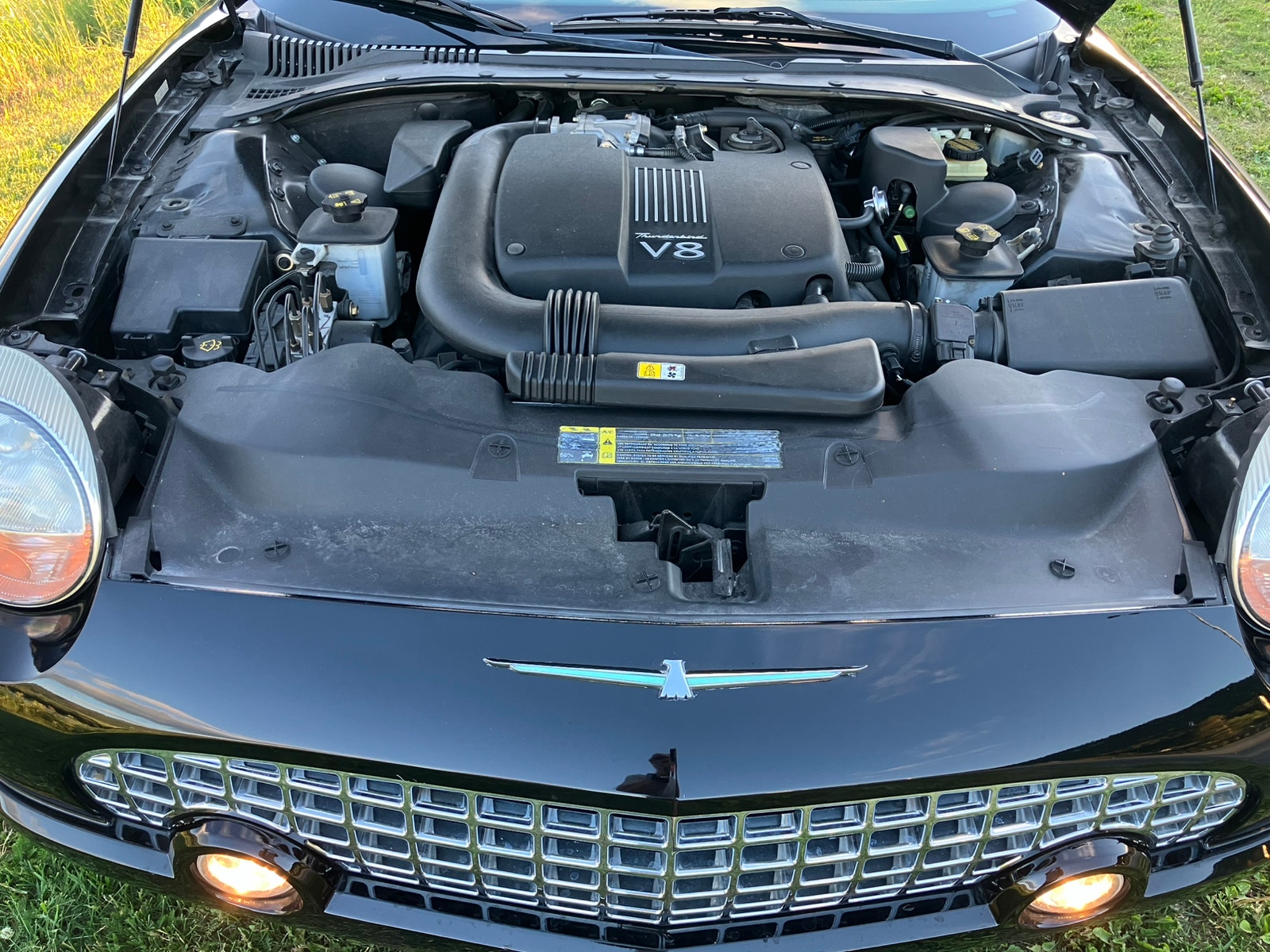 Ford Thunderbird 3.9 V8 Automatic, 5-trins, 256ps, 2002