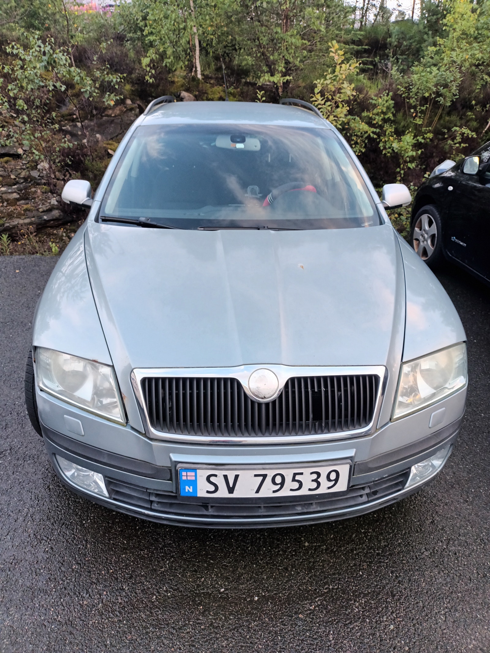 Škoda Octavia Combi 1.9 TDI 8v DSG Sequential, 6-trins, 105ps, 2007