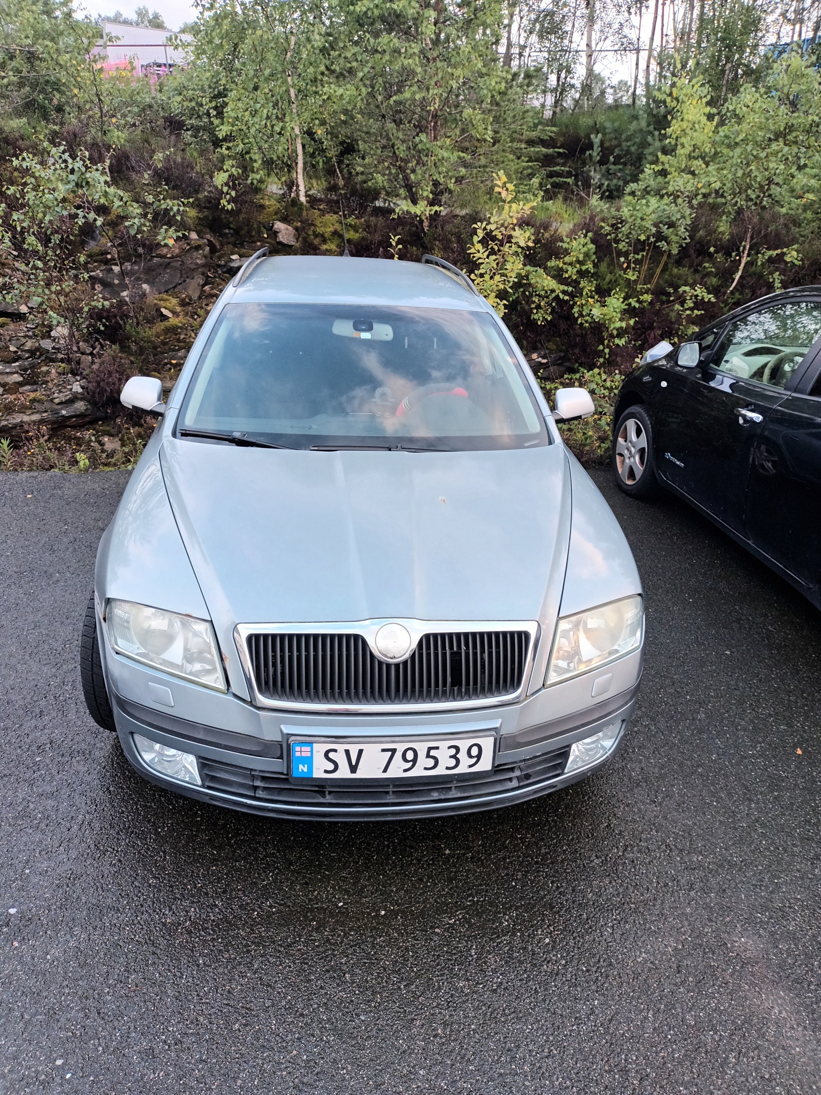 Škoda Octavia Combi 1.9 TDI 8v DSG Sequential, 6-trins, 105ps, 2007