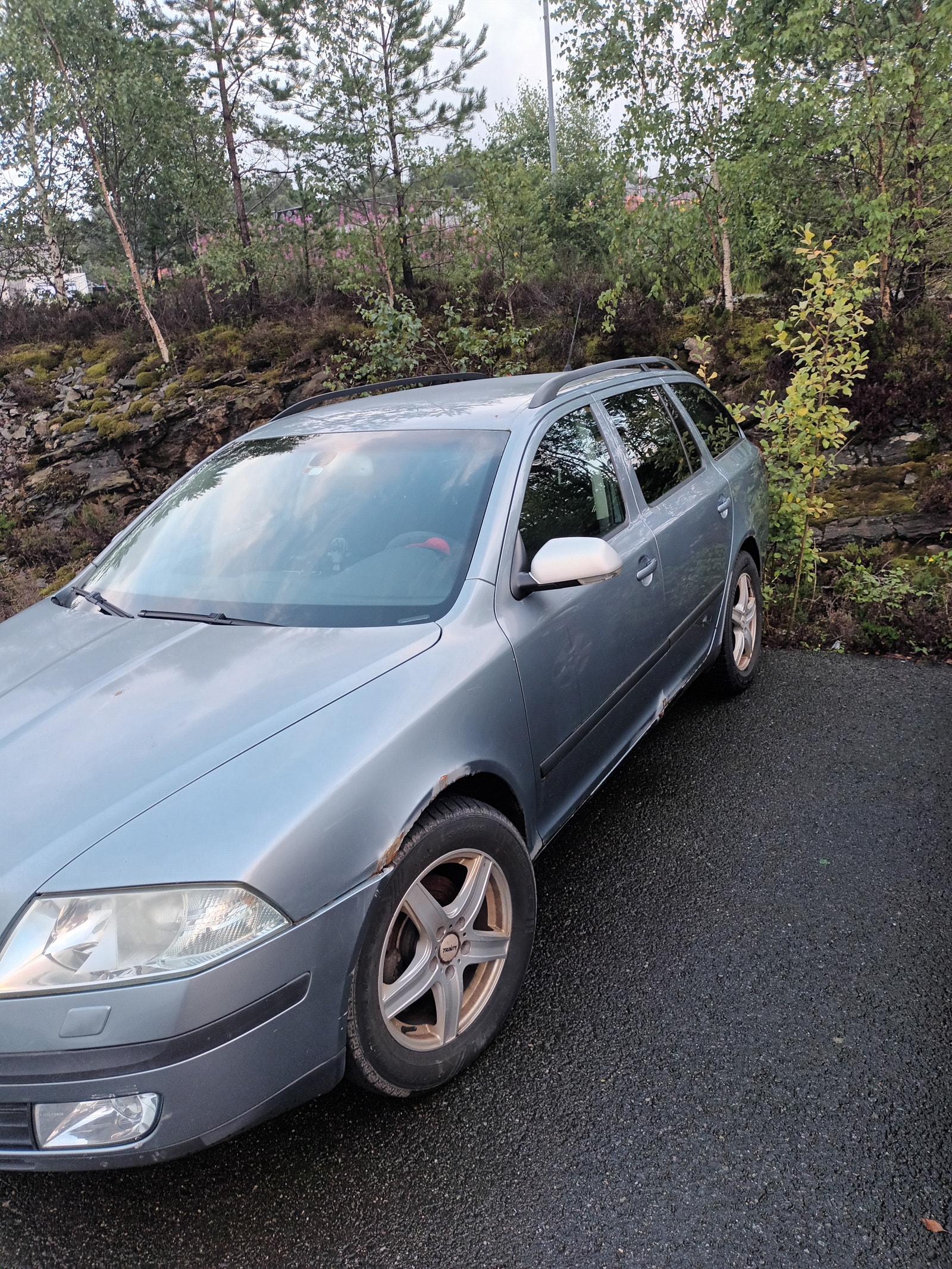 Škoda Octavia Combi 1.9 TDI 8v DSG Sequential, 6-trins, 105ps, 2007