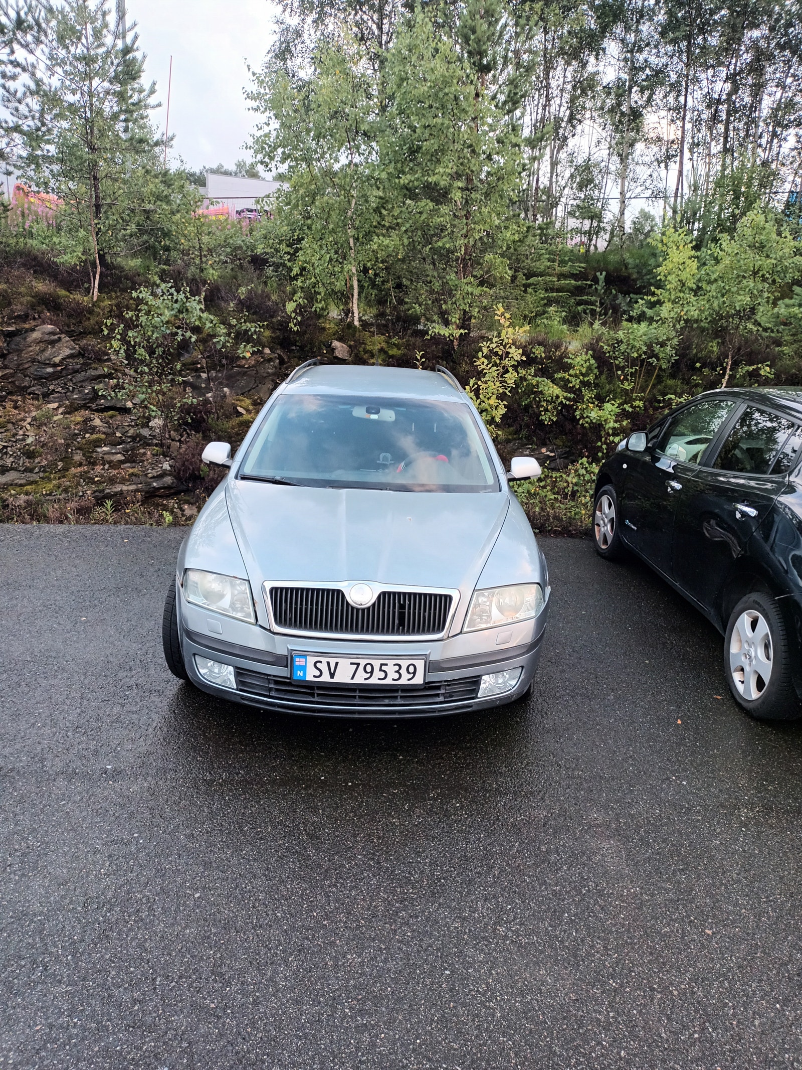 Škoda Octavia Combi 1.9 TDI 8v DSG Sequential, 6-trins, 105ps, 2007