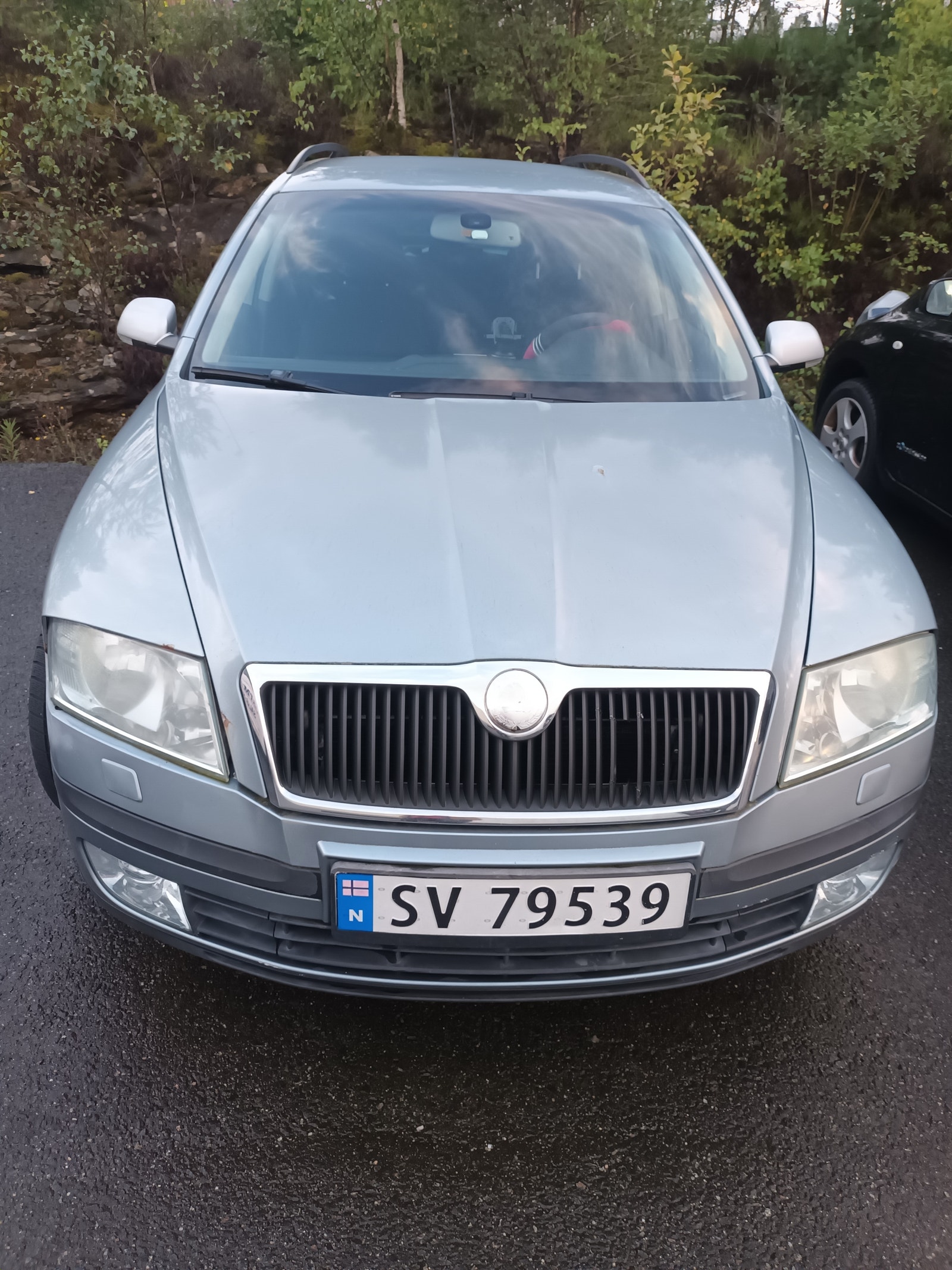 Škoda Octavia Combi 1.9 TDI 8v DSG Sequential, 6-trins, 105ps, 2007