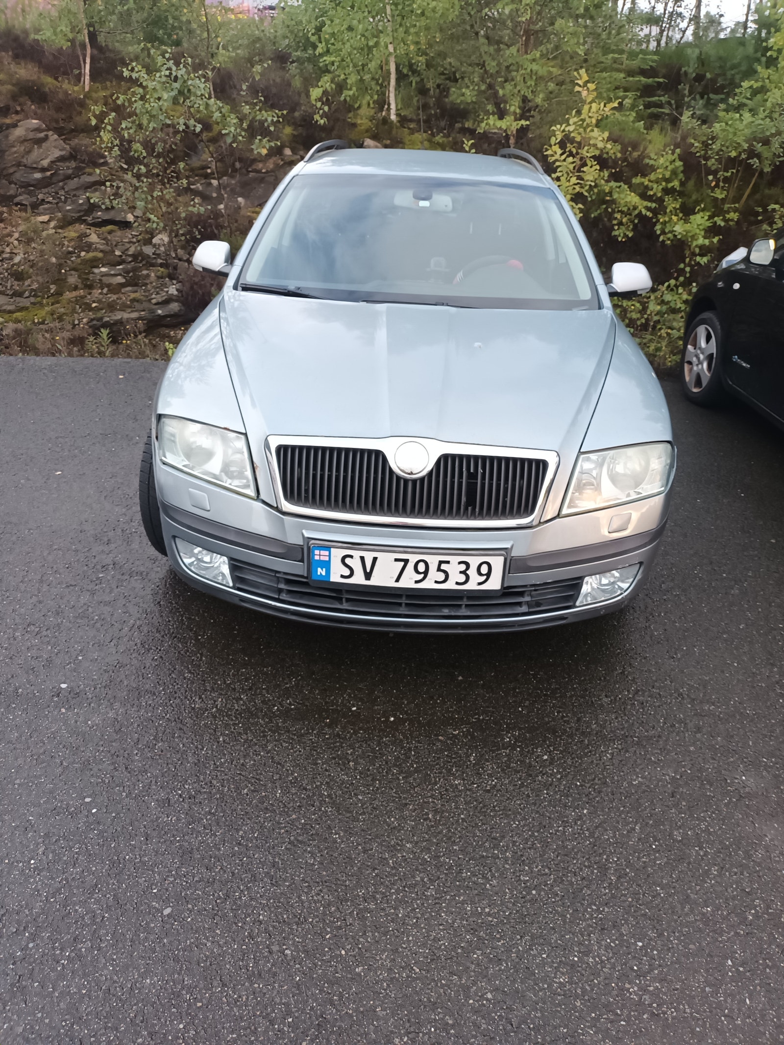 Škoda Octavia Combi 1.9 TDI 8v DSG Sequential, 6-trins, 105ps, 2007