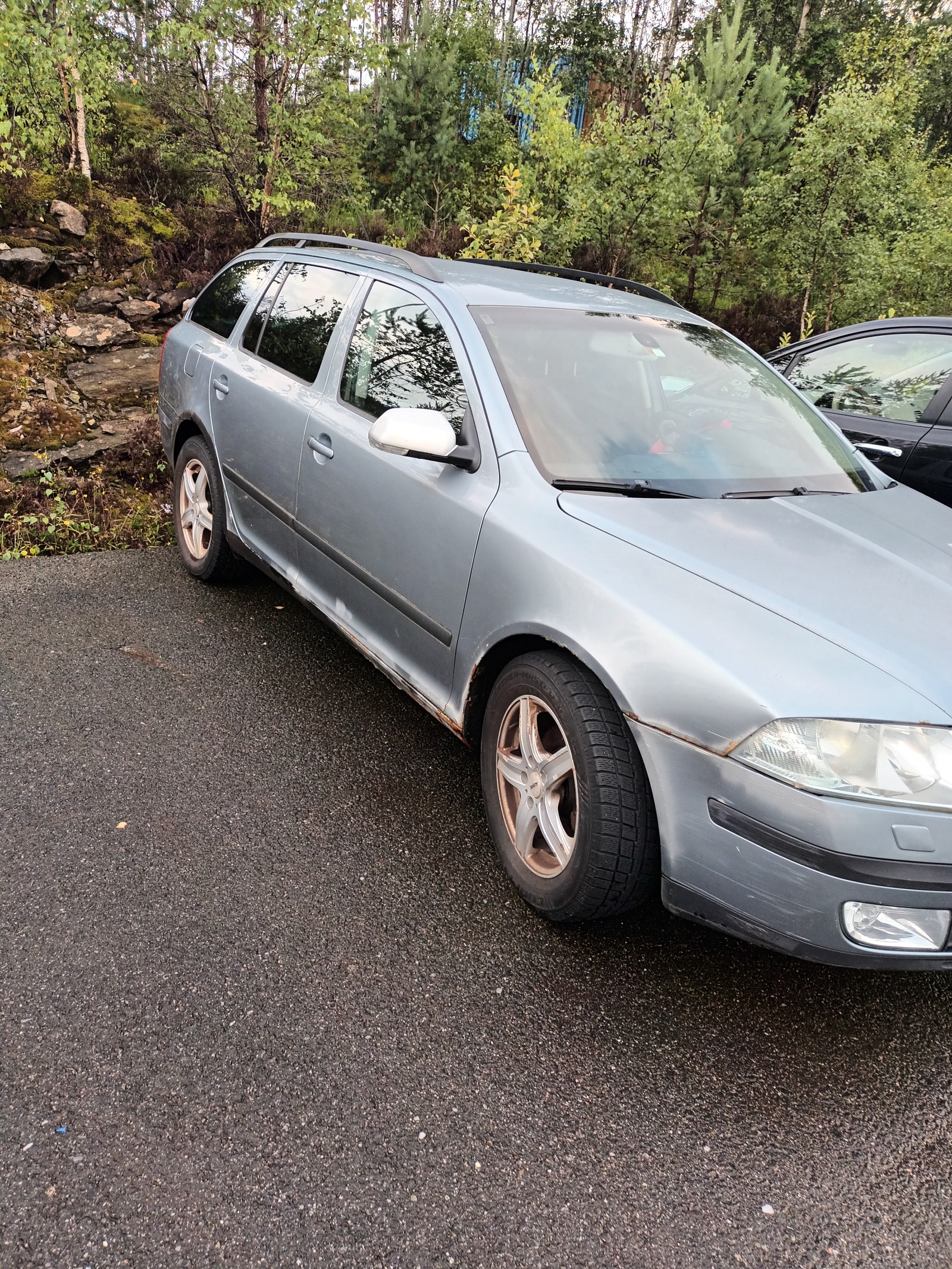 Škoda Octavia Combi 1.9 TDI 8v DSG Sequential, 6-trins, 105ps, 2007