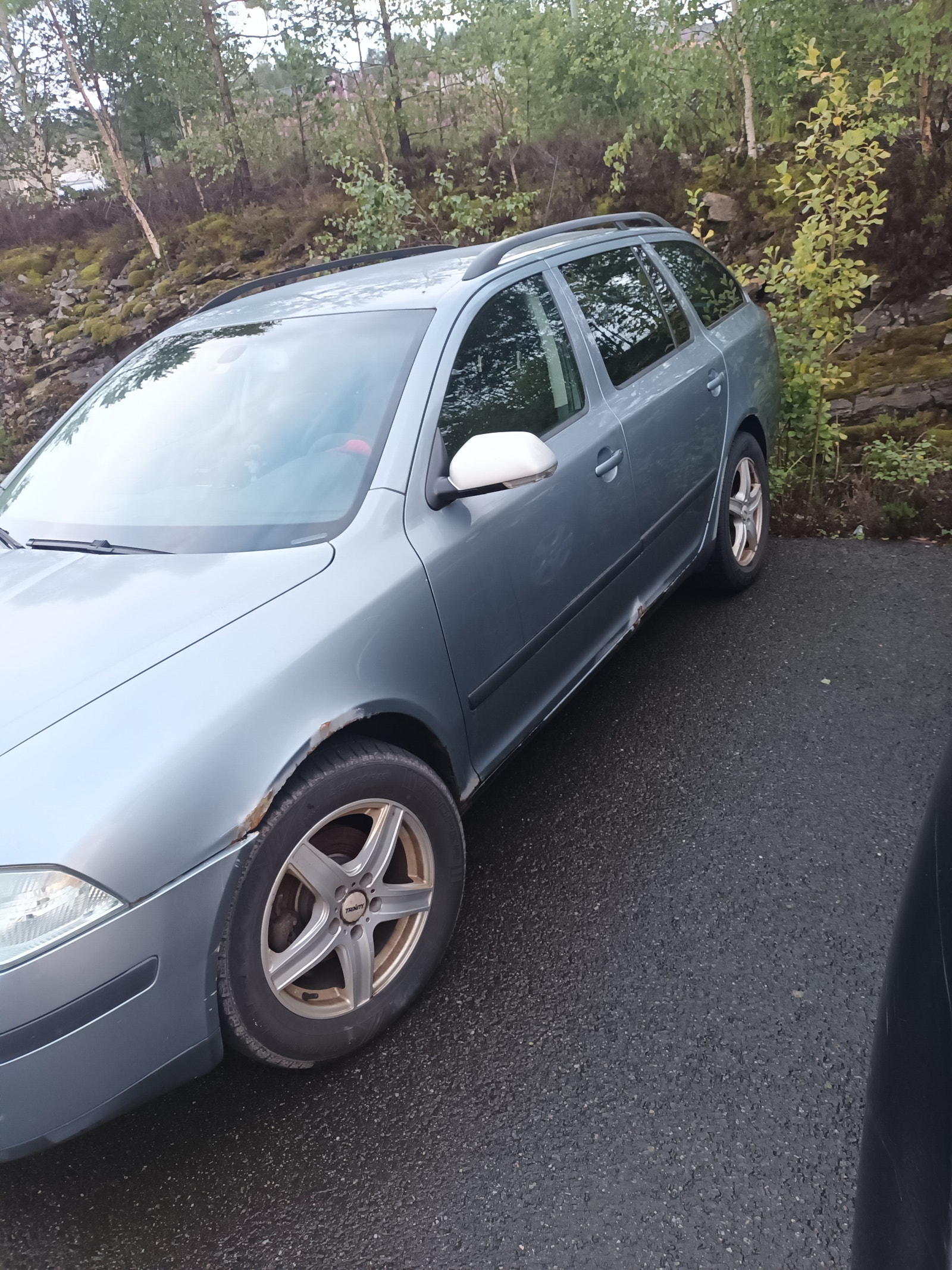 Škoda Octavia Combi 1.9 TDI 8v DSG Sequential, 6-trins, 105ps, 2007