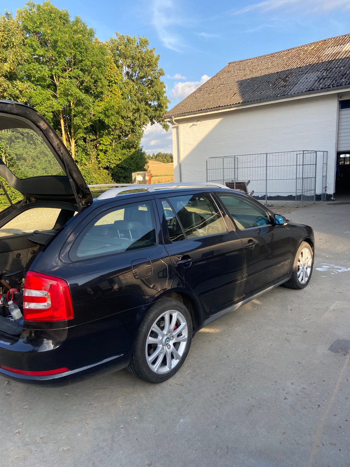 Škoda Octavia Combi RS 2.0 TDI DPF Manual, 170hp, 2008