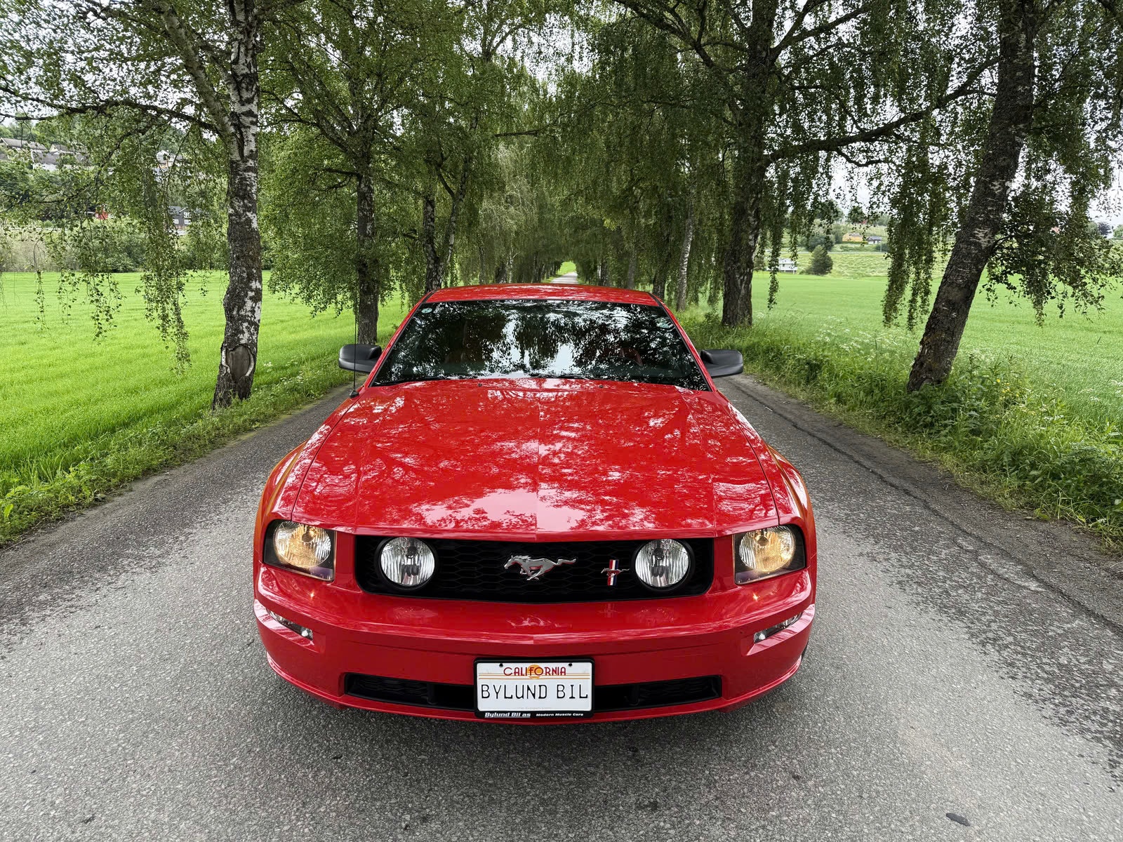 Ford Mustang GT Automatic, 5-trins, 304ps, 2005