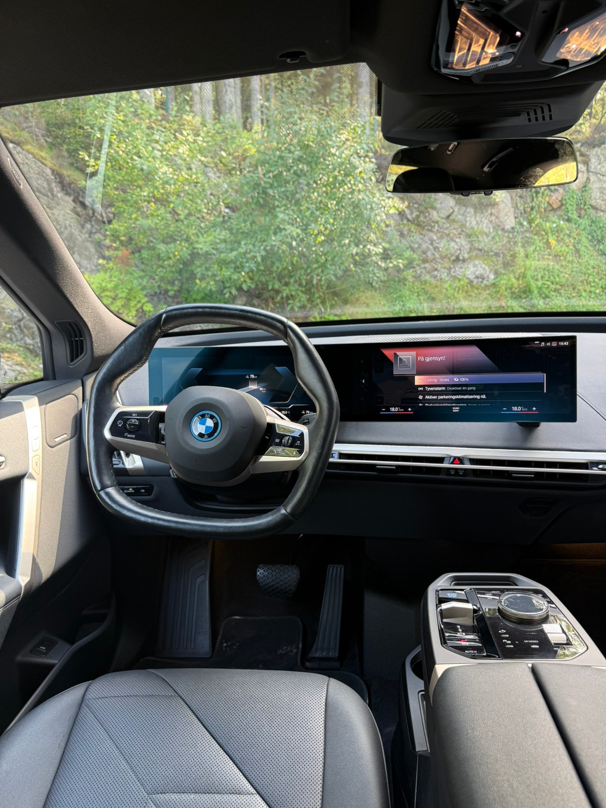 BMW iX xDrive40, 326hp, 2022