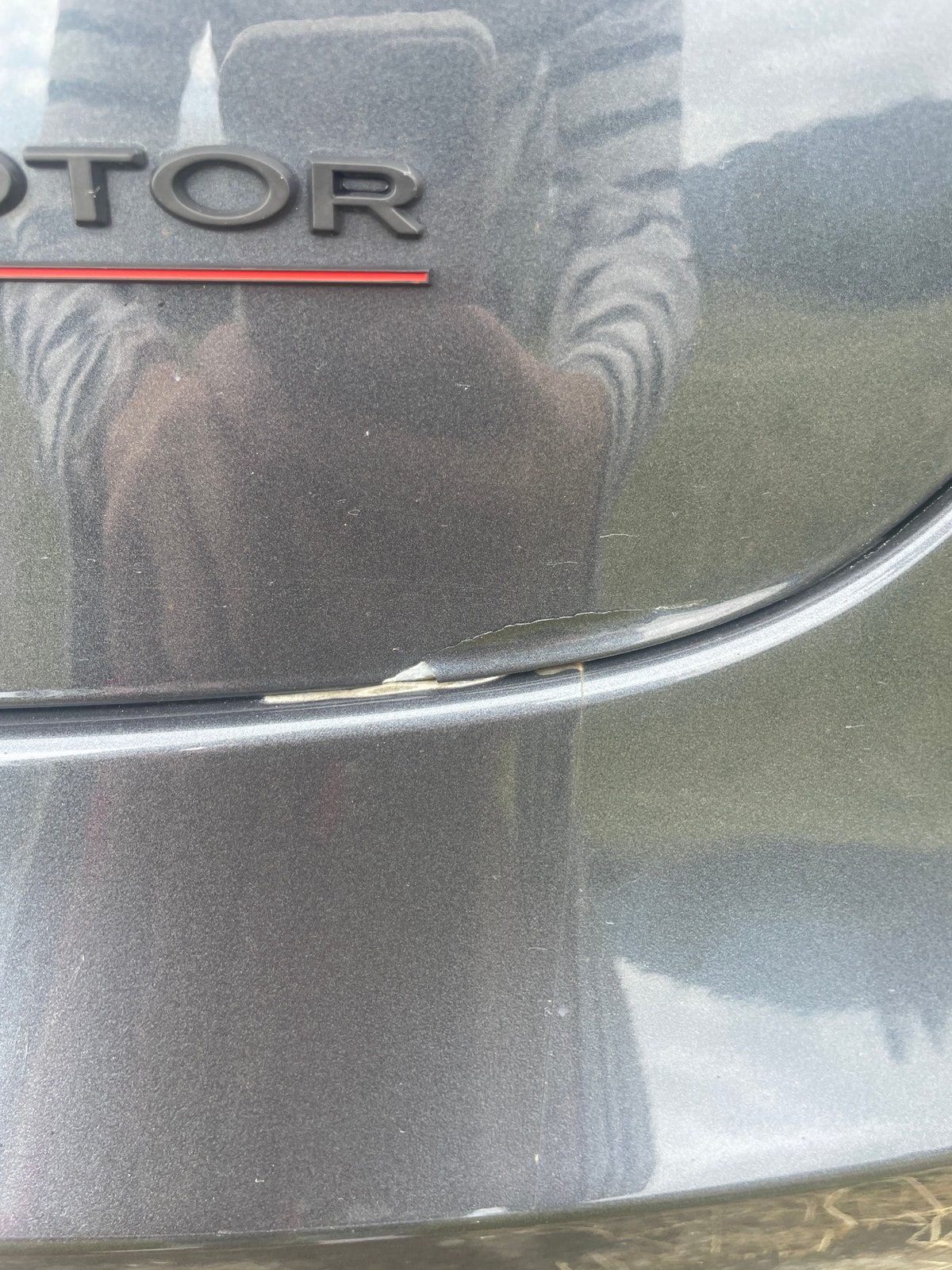 Tesla Model 3 Performance, 513hp, 2021