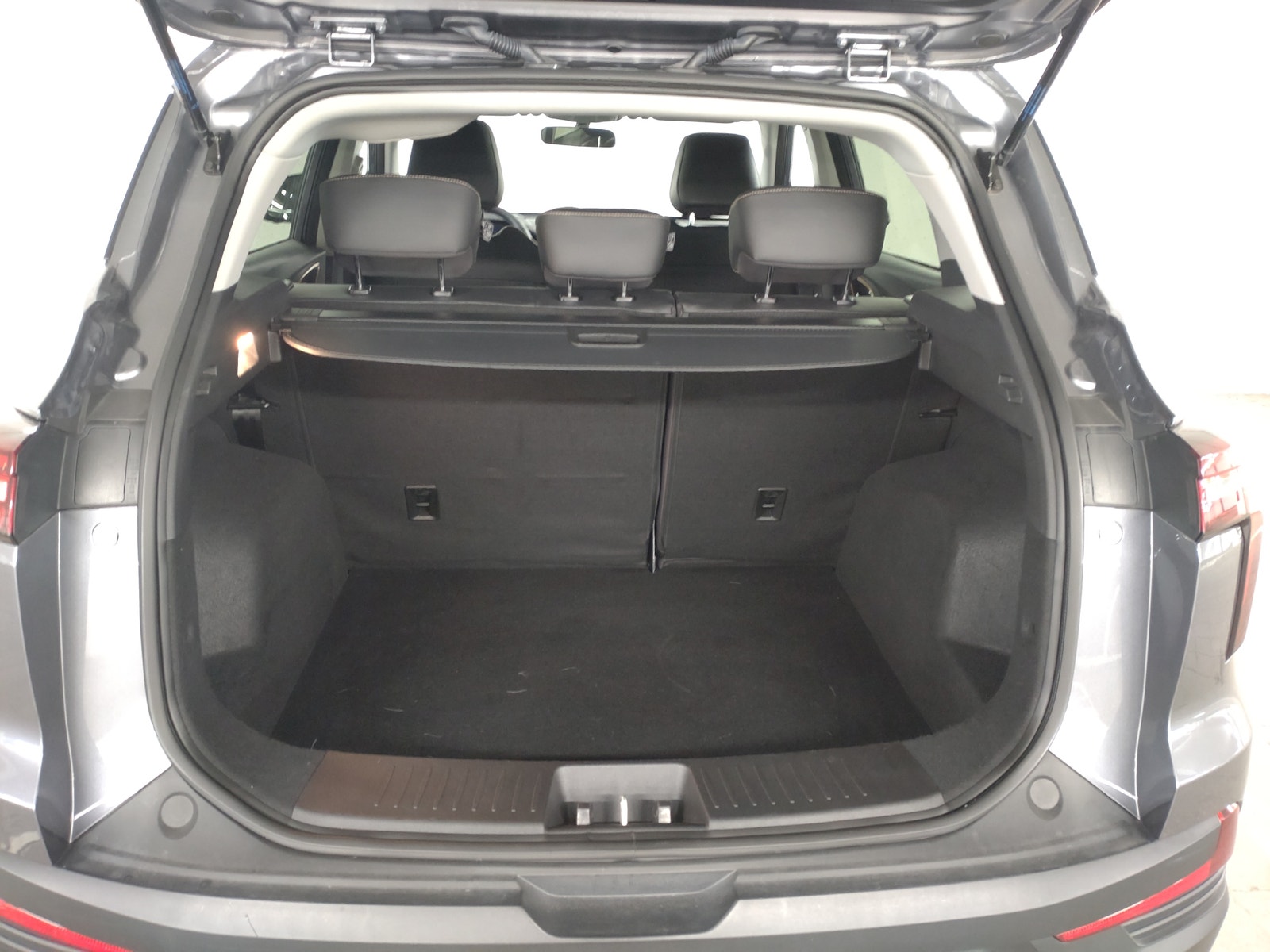 JAC e-JS4, 193ps, 2022