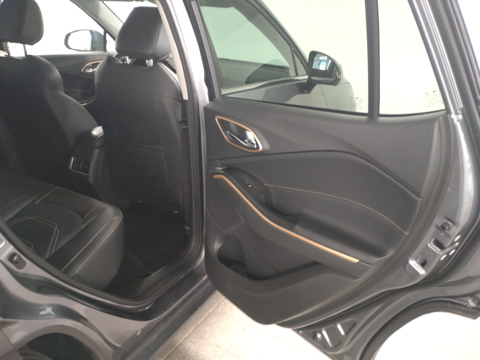 JAC e-JS4, 193ps, 2022