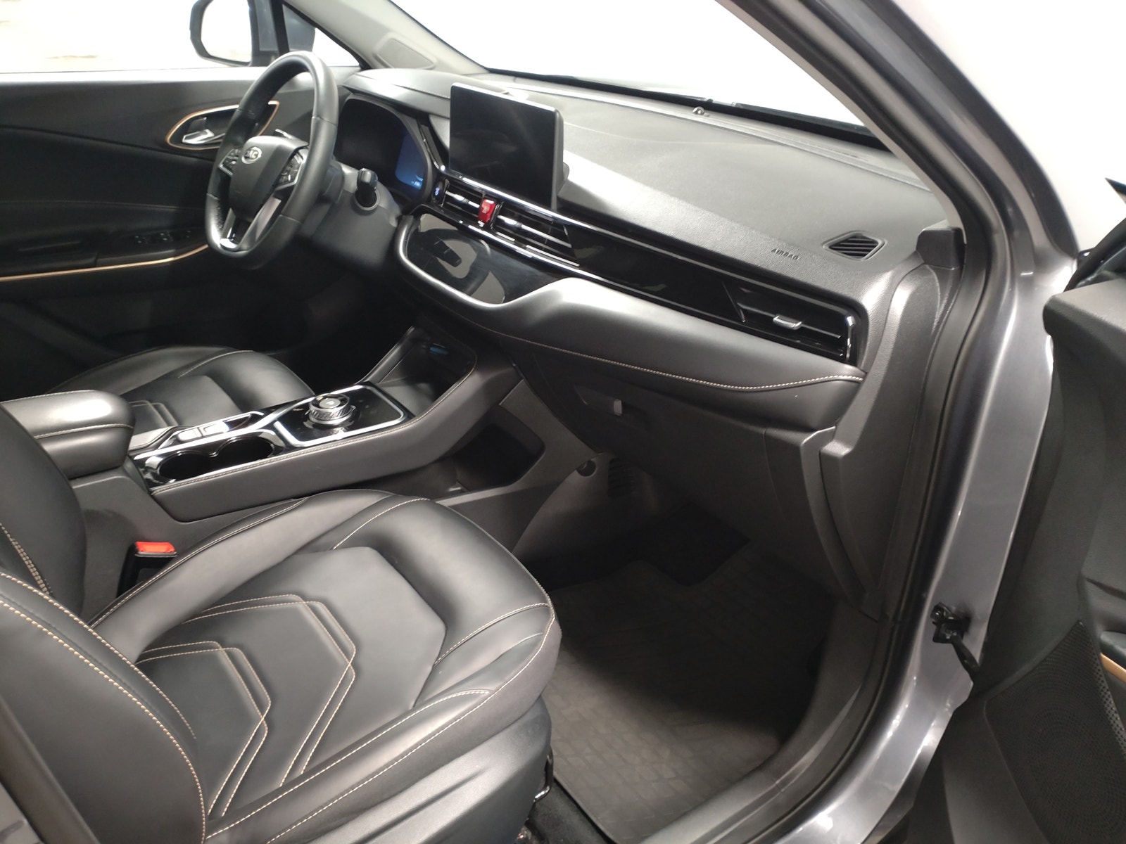 JAC e-JS4, 193ps, 2022