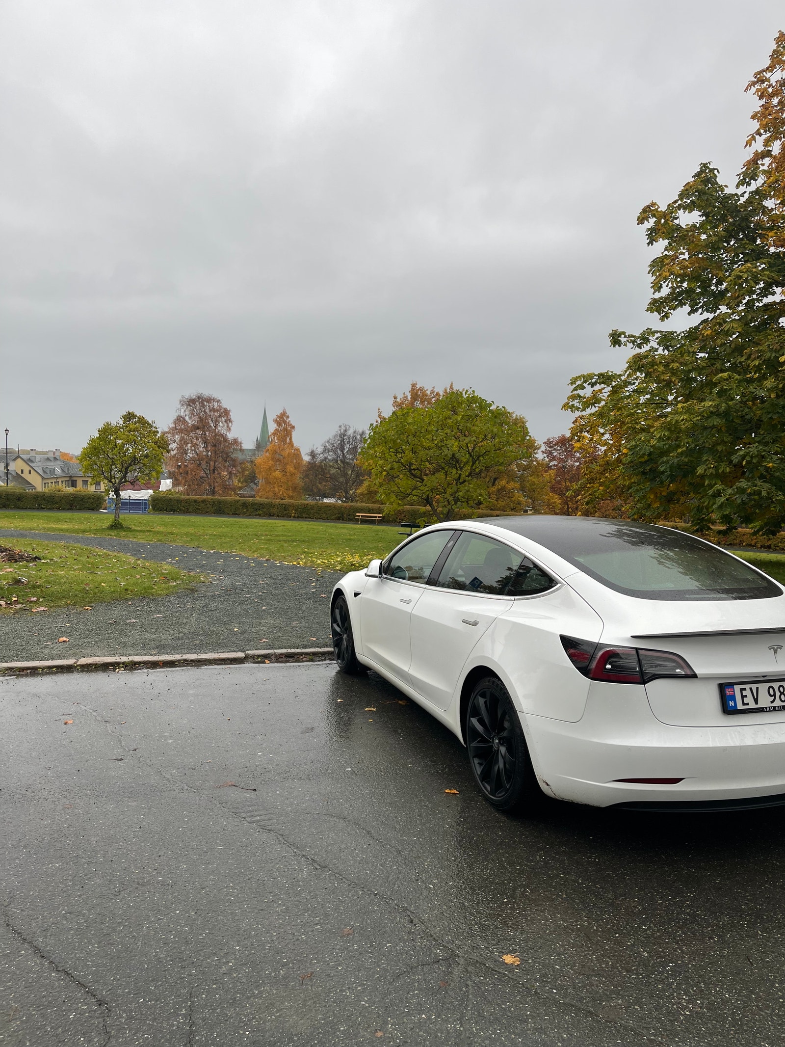 Tesla Model 3 Performance, 513hp, 2019