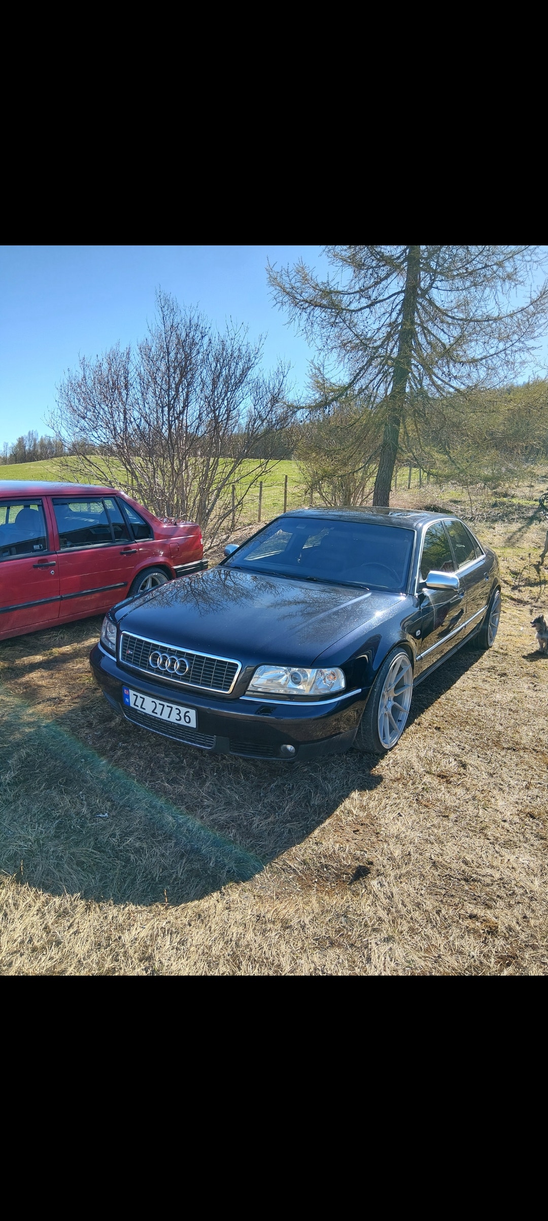 Audi S8 4.2 V8 quattro Automatic, 5-trins, 360ps, 2003