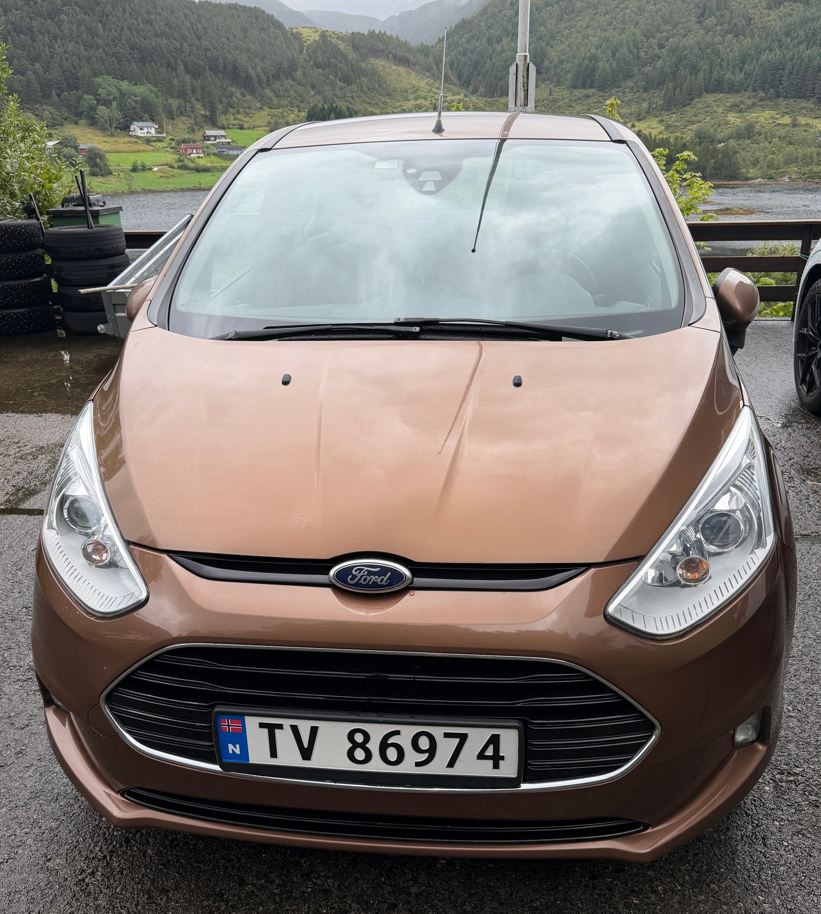 Ford B-MAX 1.0 EcoBoost Manual, 5-trins, 125ps, 2014