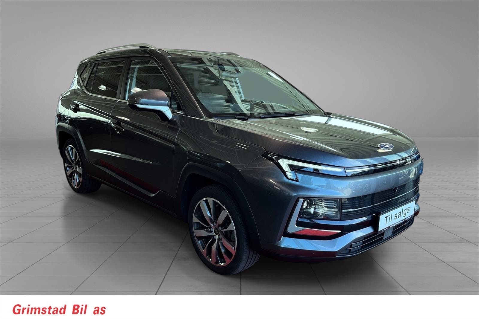 JAC e-JS4, 193ps, 2022