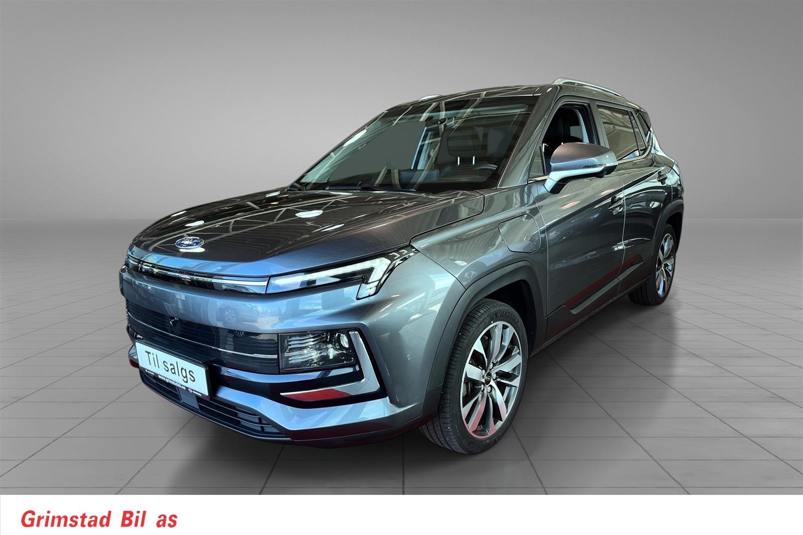 JAC e-JS4, 193ps, 2022