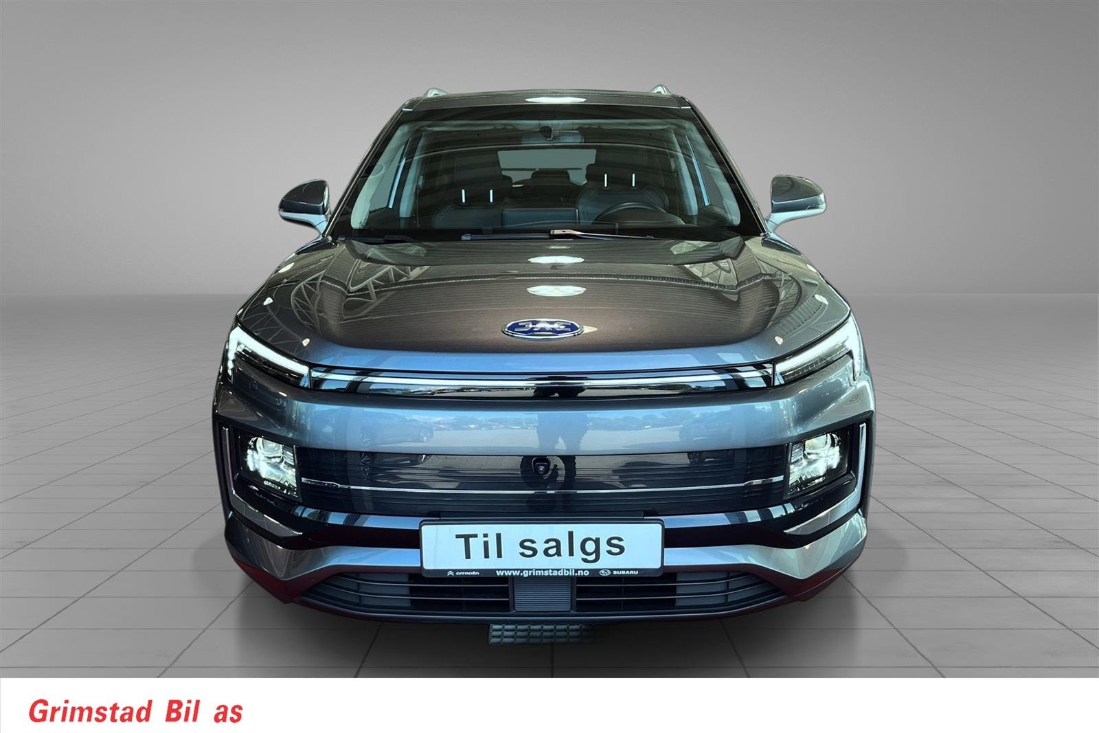 JAC e-JS4, 193ps, 2022