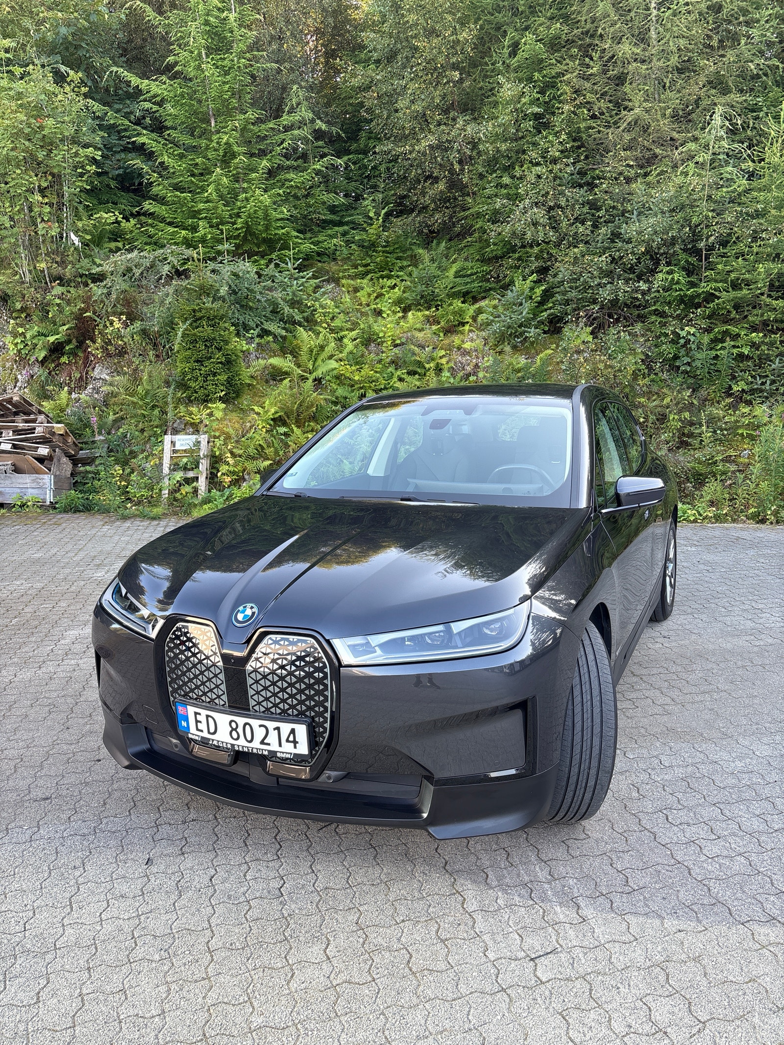 BMW iX xDrive40, 326ps, 2022