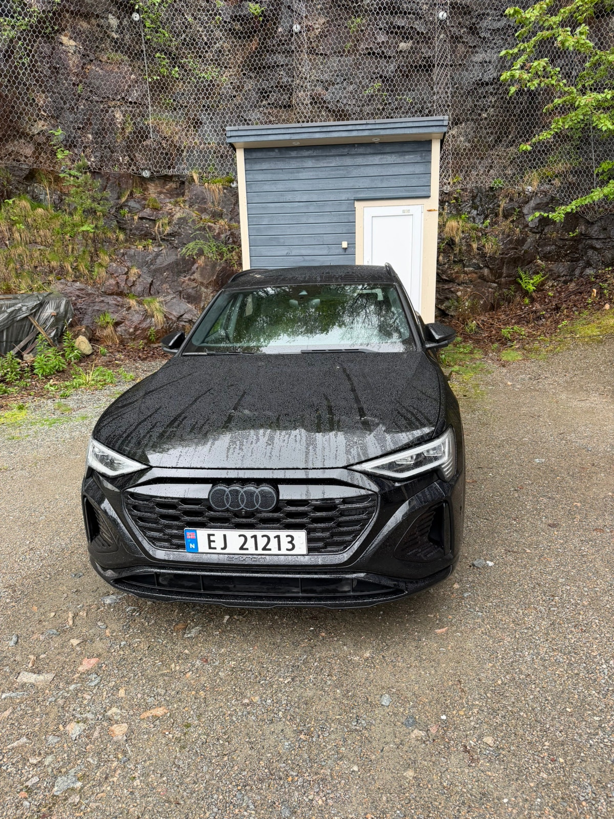 Audi Q8 50 e-tron quattro, 340hp, 2024