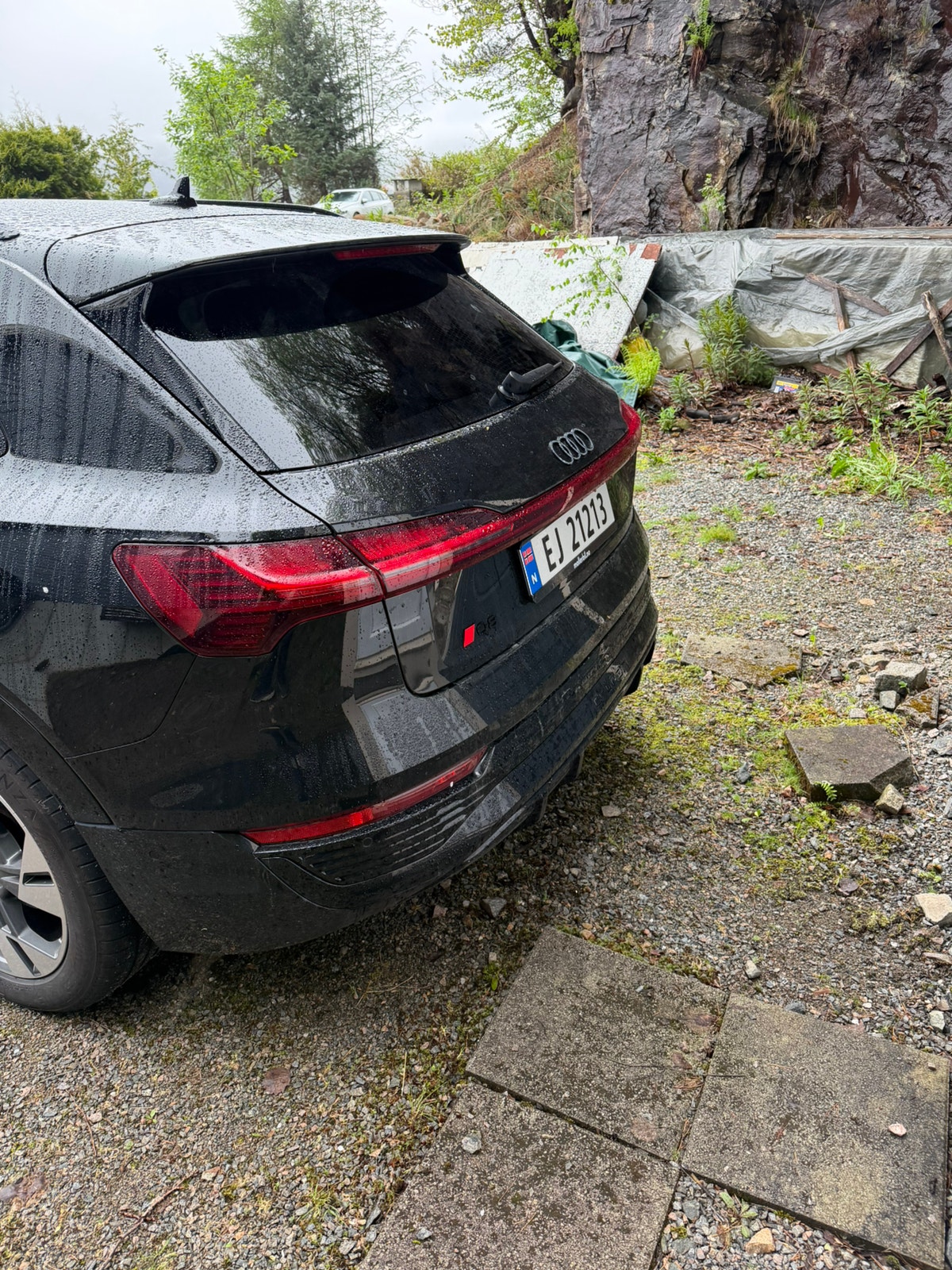 Audi Q8 50 e-tron quattro, 340hp, 2024