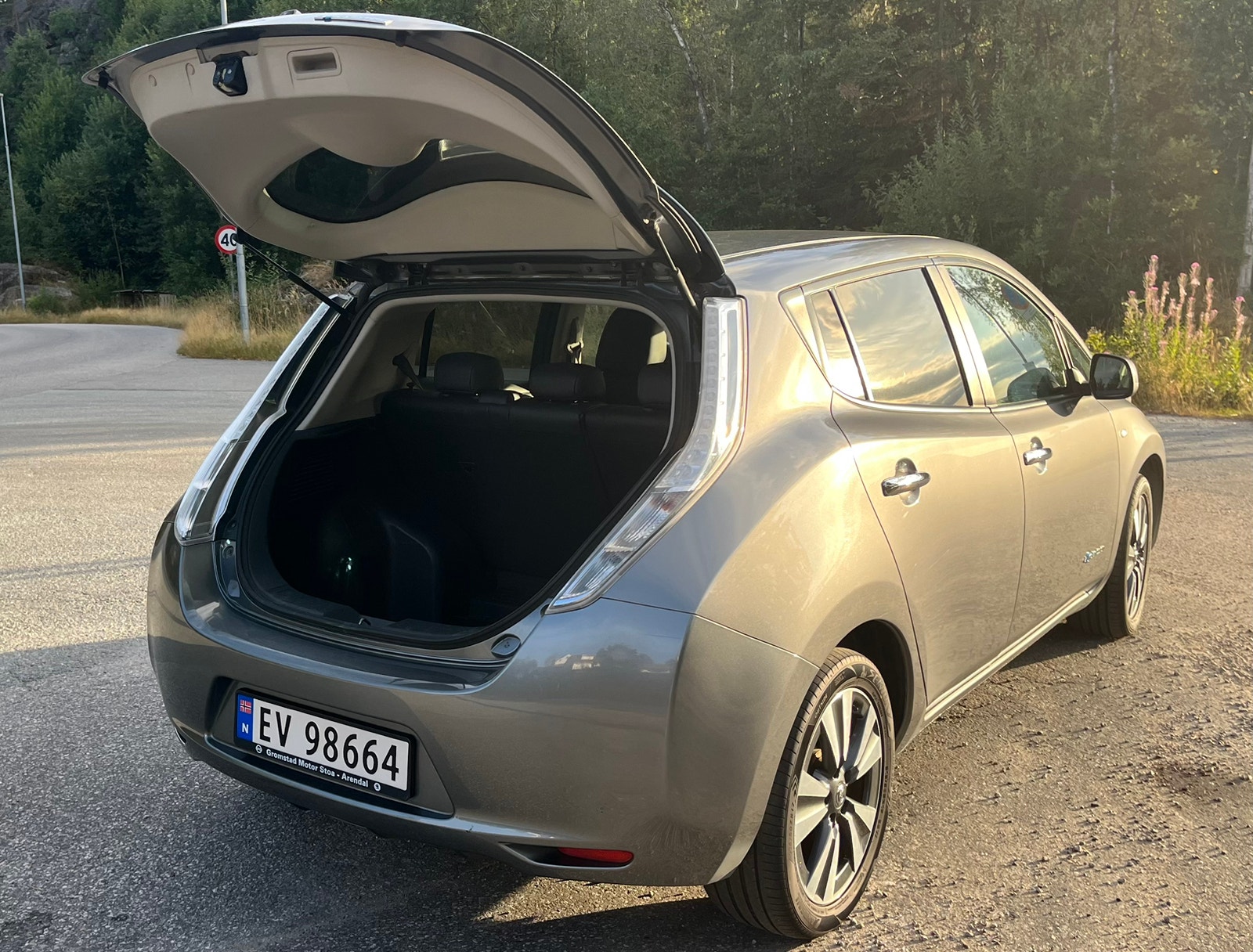 Nissan Leaf 30 kWh, 109hp, 2017