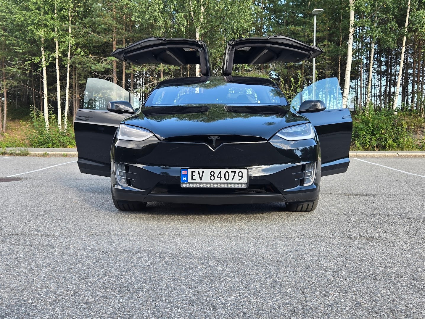 Tesla Model X Long Range, 423ps, 2019