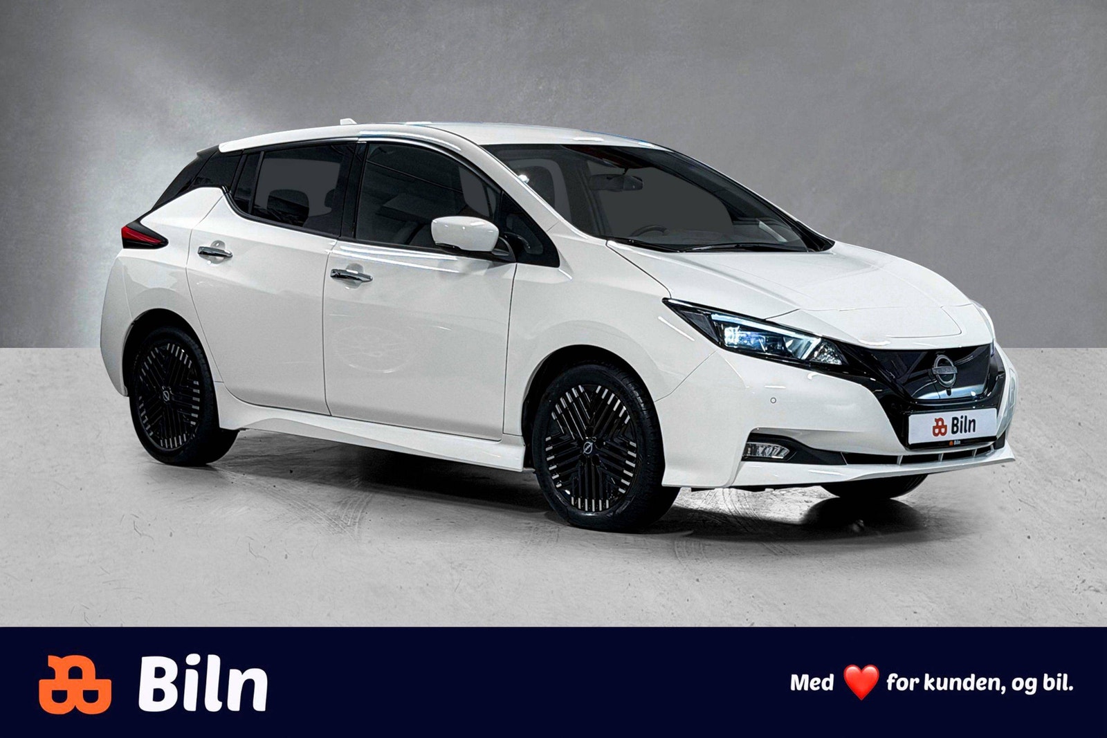 Nissan Leaf, 150ps, 2024