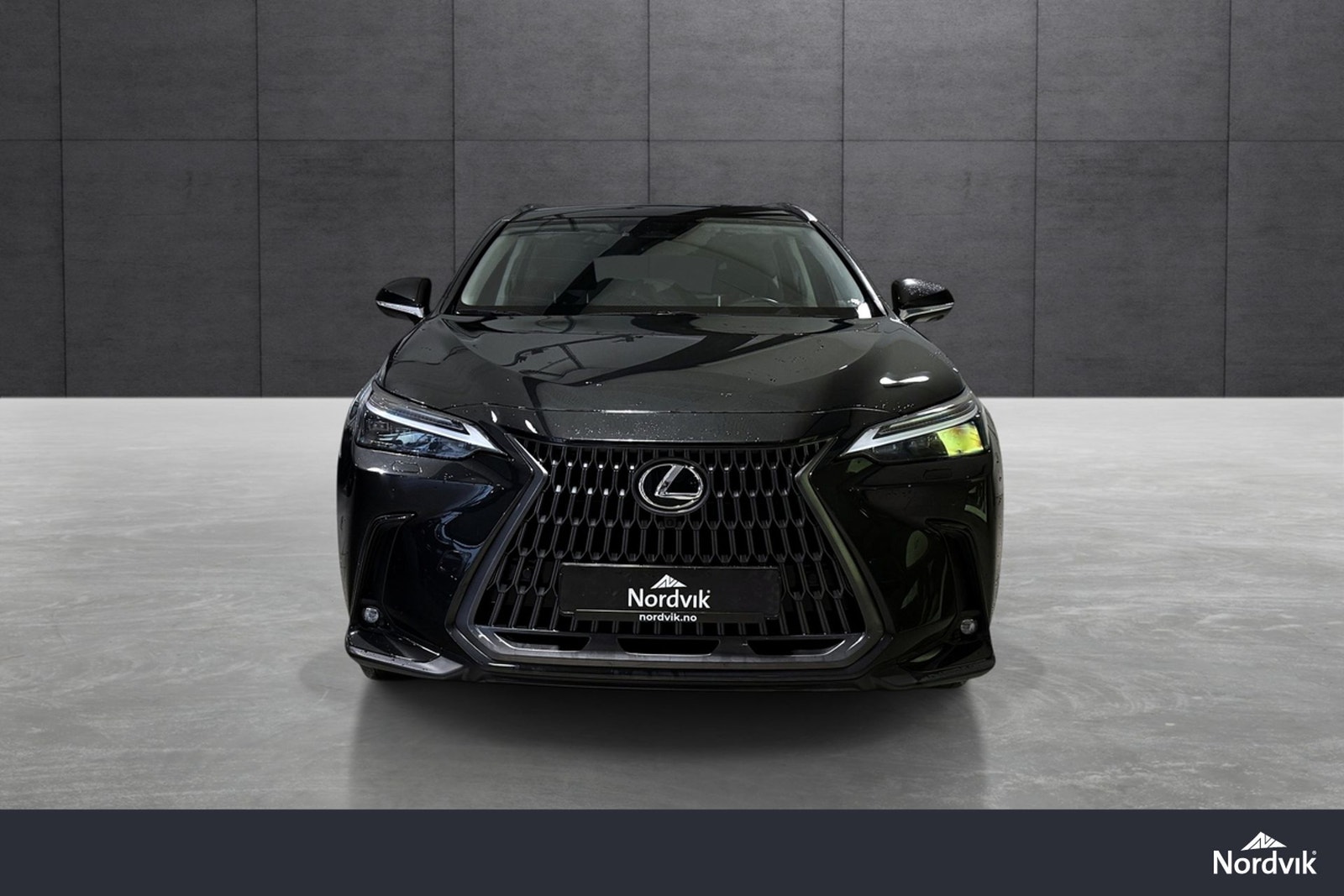 Lexus NX 450h+ E-CVT, 309hp, 2024