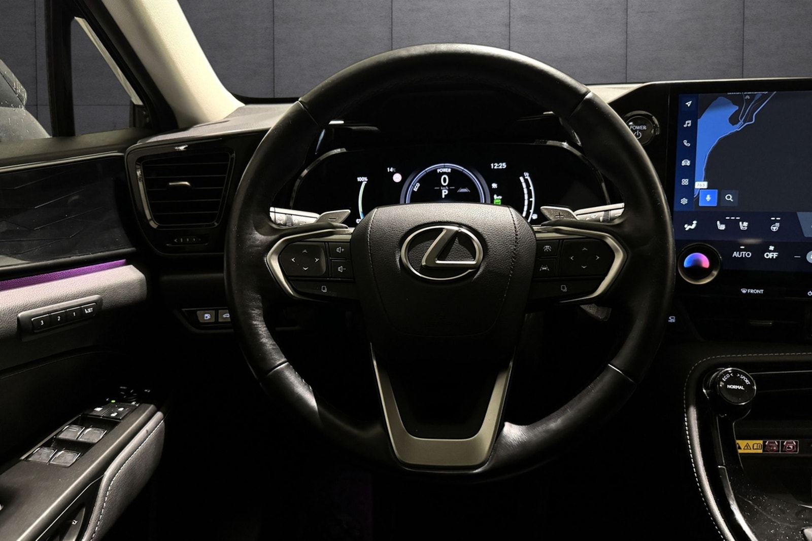 Lexus NX 450h+ E-CVT, 309hp, 2024