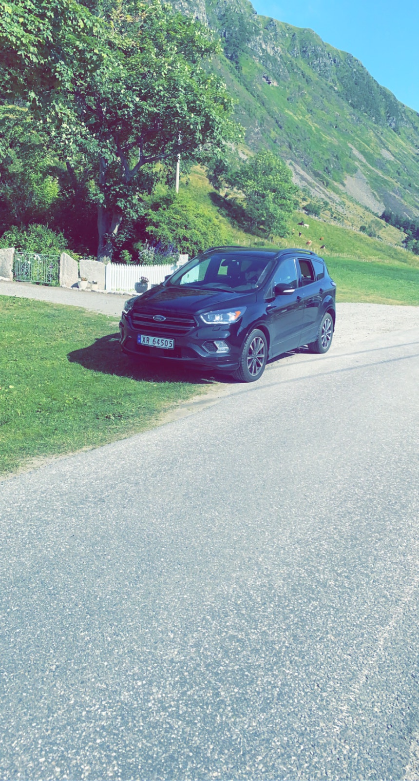 Ford Kuga 1.5 TDCi Powershift 6, 6-trins, 120ps, 2017