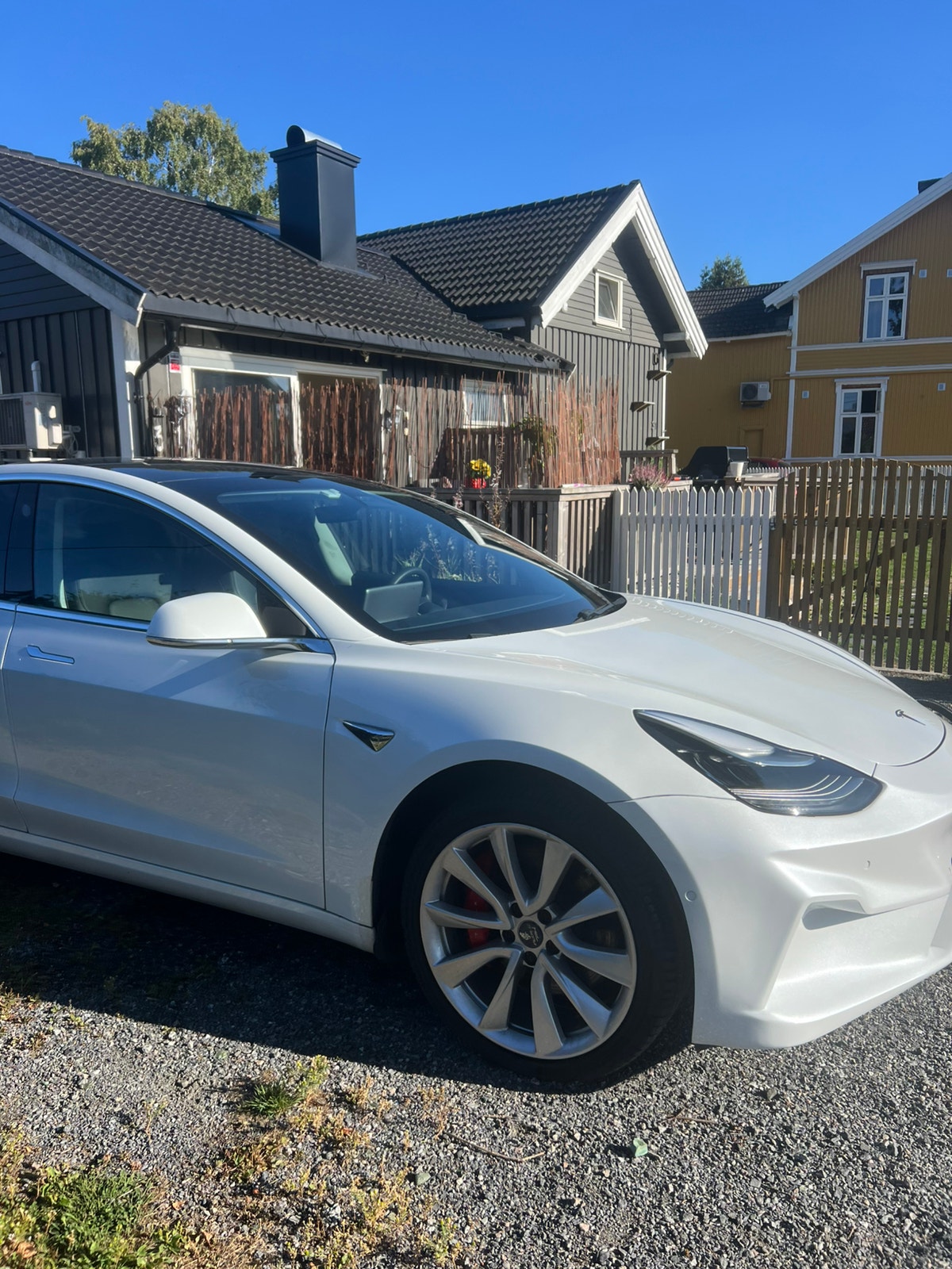 Tesla Model 3 Performance, 513ps, 2020