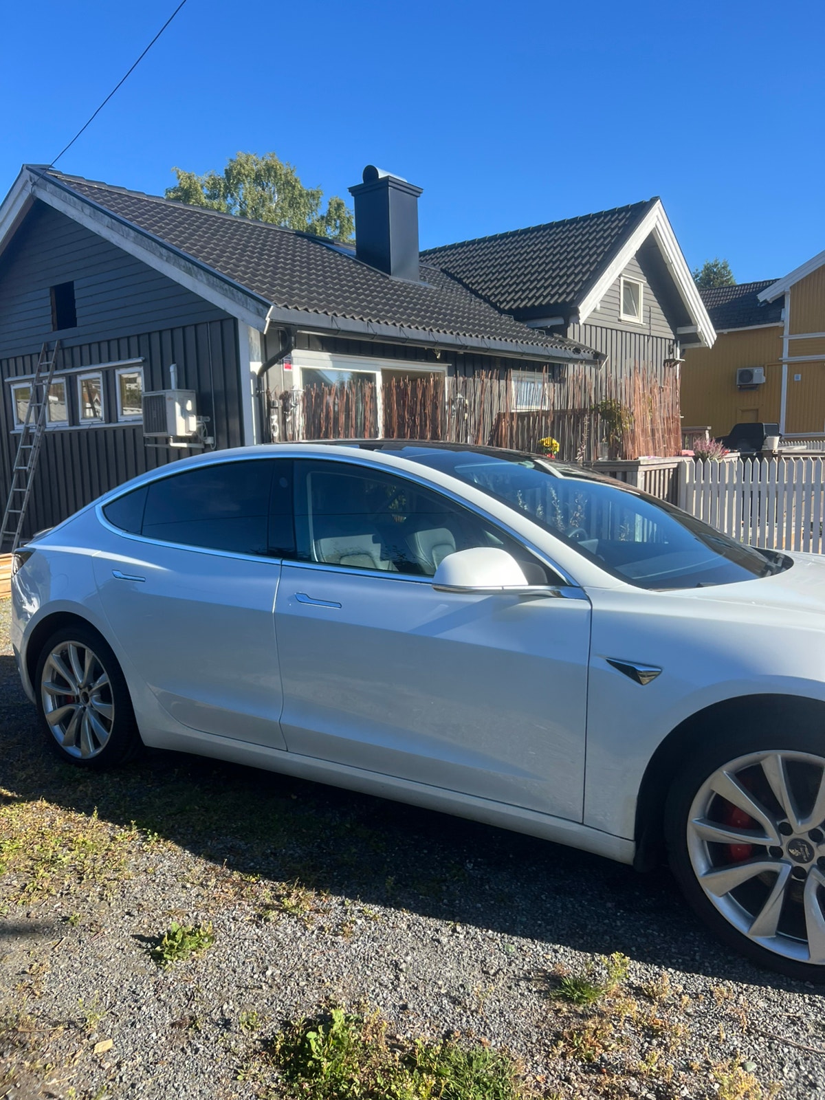 Tesla Model 3 Performance, 513ps, 2020