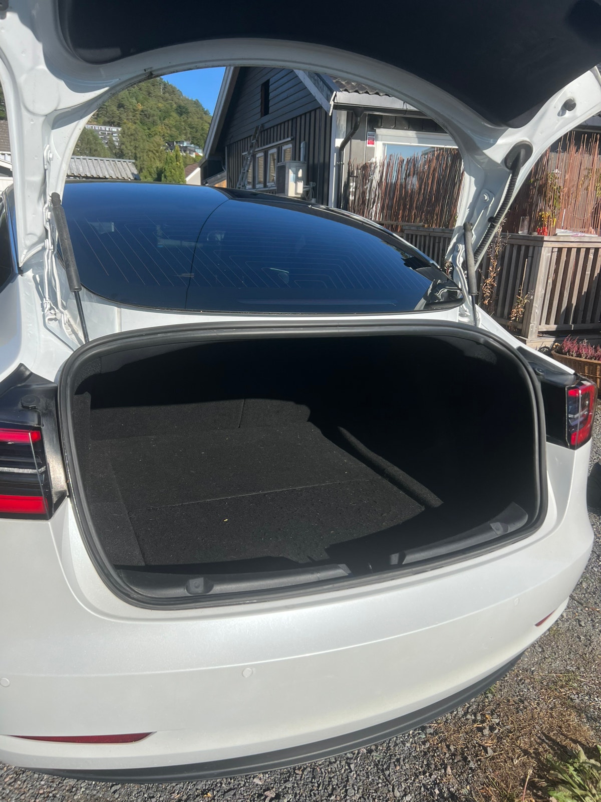 Tesla Model 3 Performance, 513ps, 2020
