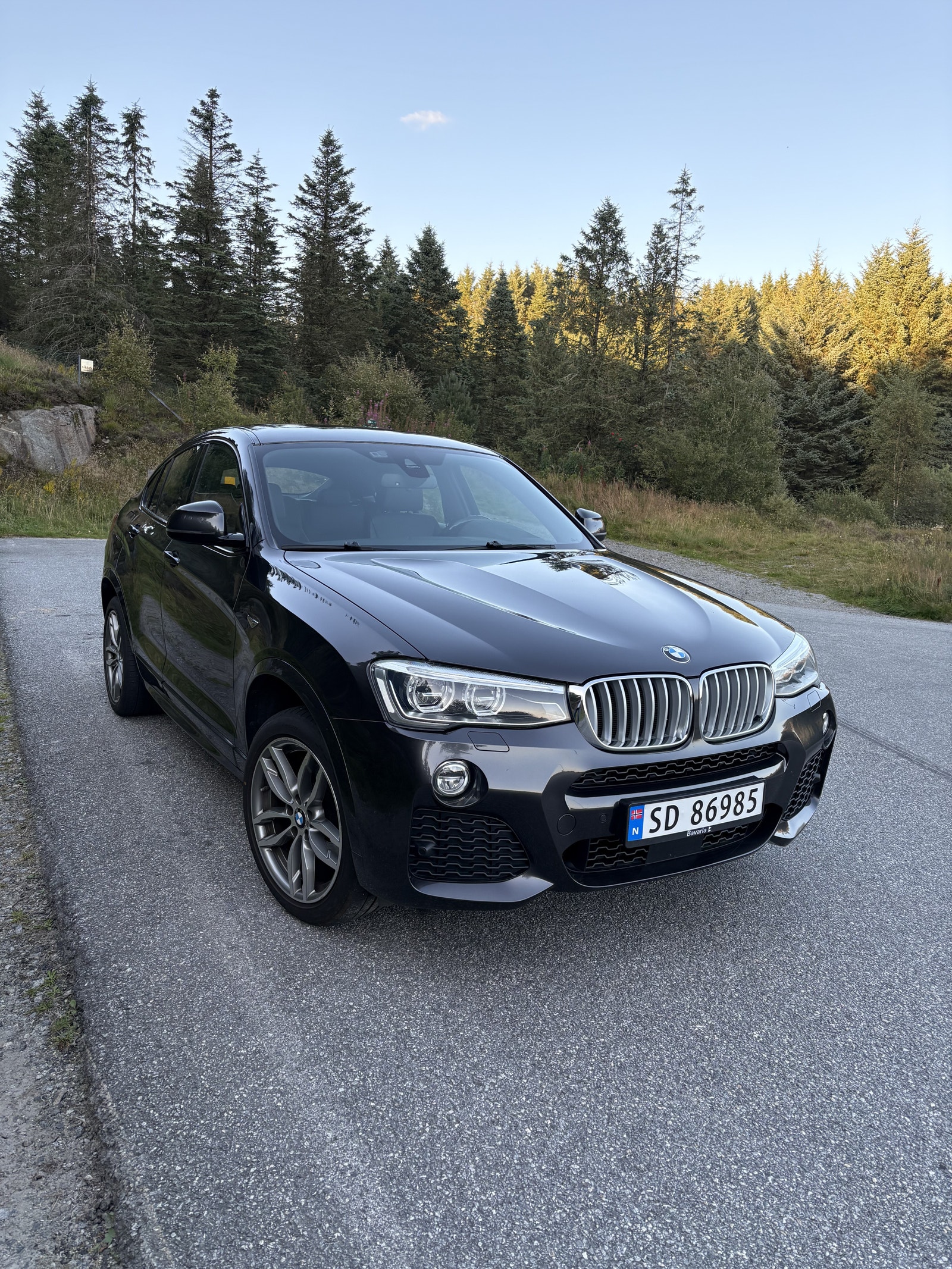 BMW X4 xDrive28i Steptronic, 8-trins, 245ps, 2018