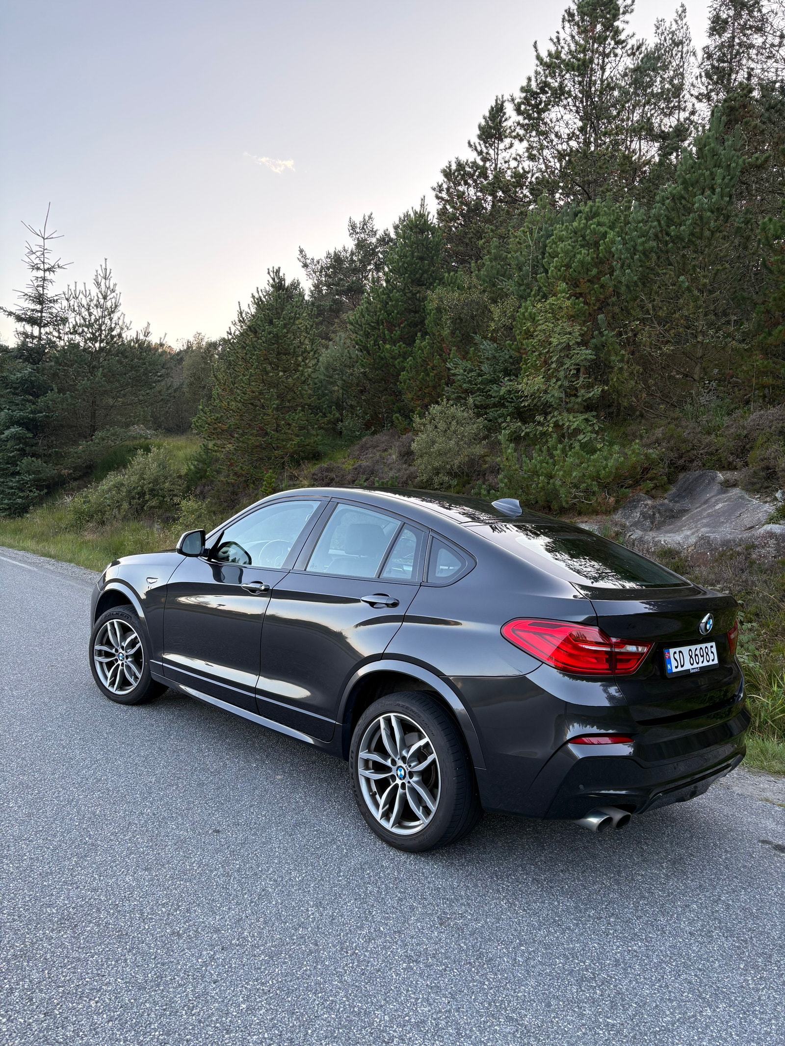 BMW X4 xDrive28i Steptronic, 8-trins, 245ps, 2018