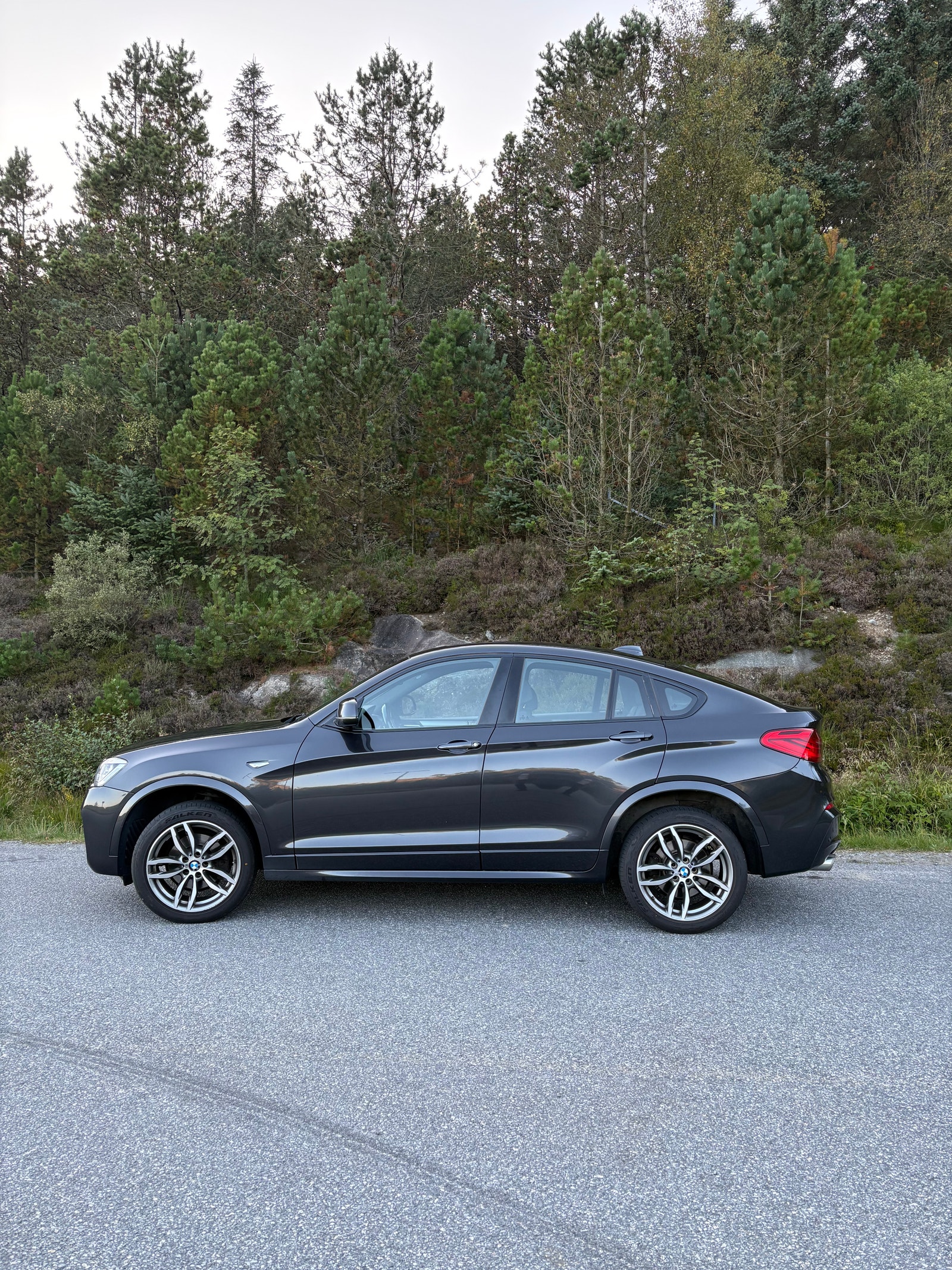 BMW X4 xDrive28i Steptronic, 8-trins, 245ps, 2018