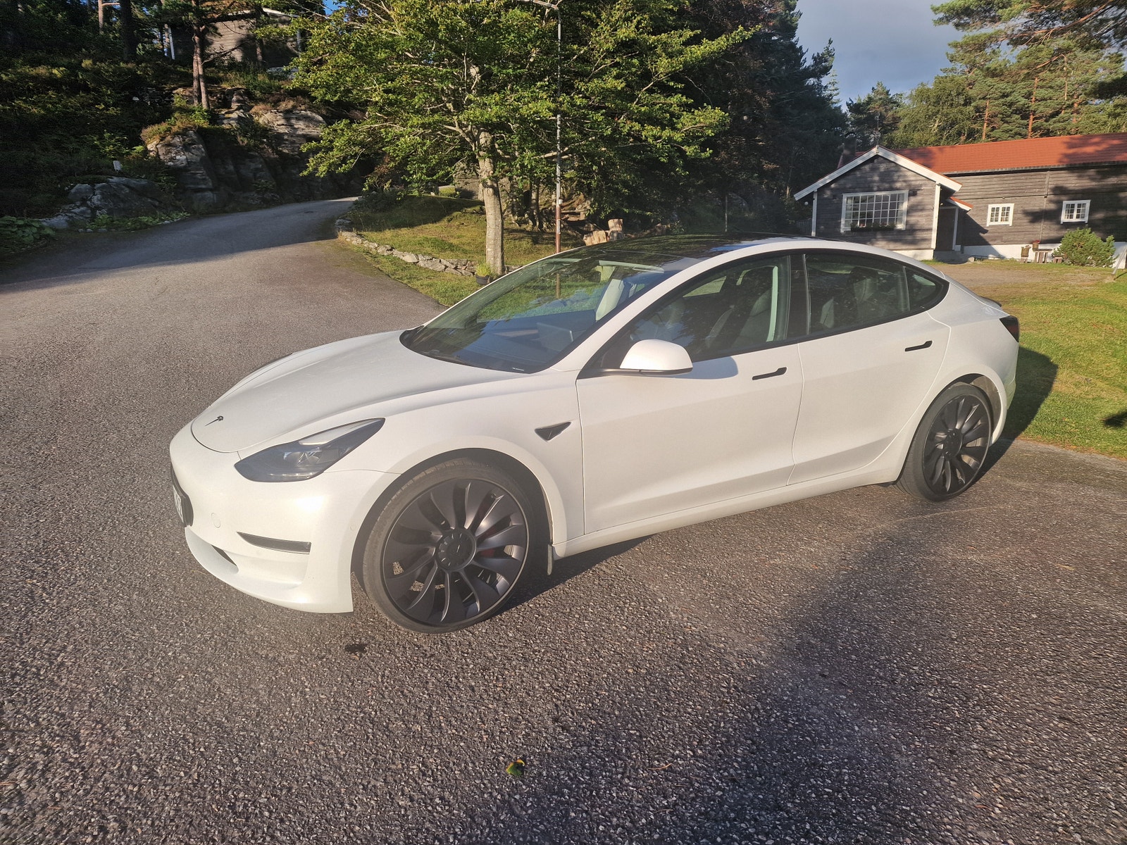Tesla Model 3 Performance, 534ps, 2022