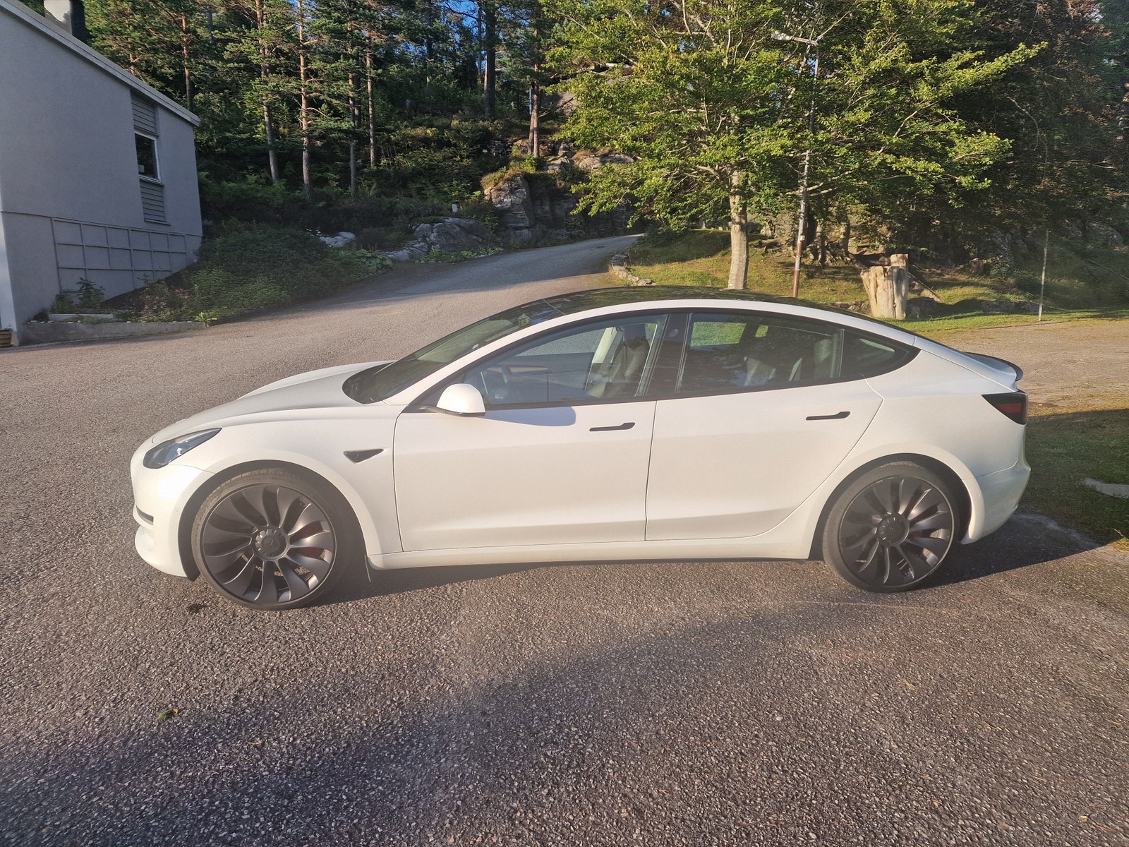 Tesla Model 3 Performance, 534ps, 2022