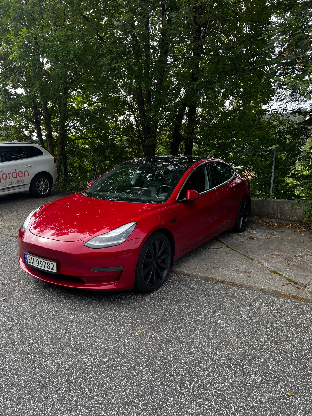 Tesla Model 3 Performance, 513ps, 2020