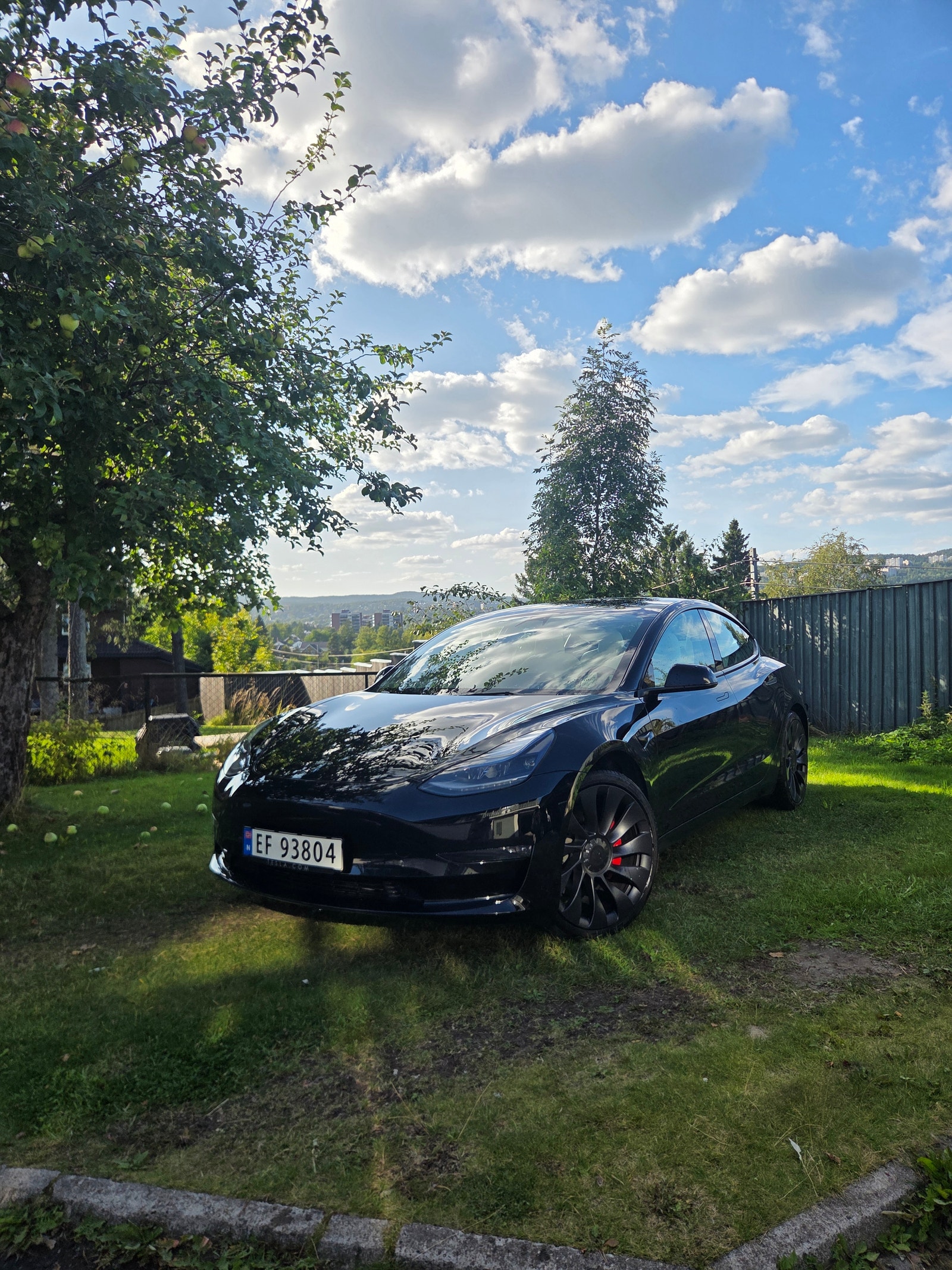 Tesla Model 3 Performance, 534hp, 2023